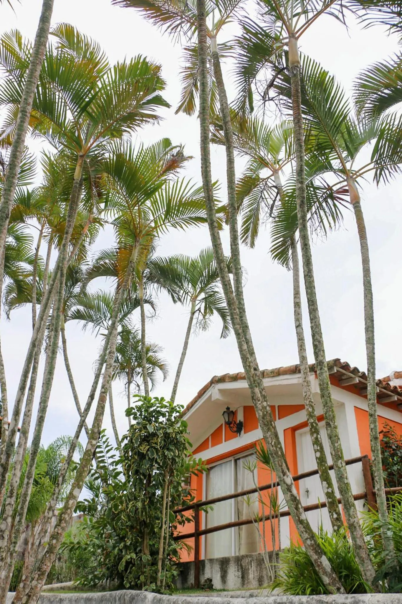 Natural landscape in Tarumã Búzios Hotel