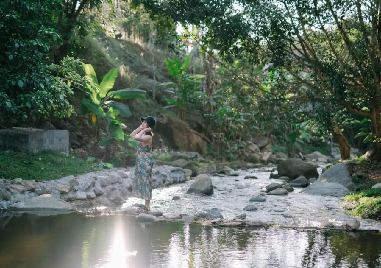 Mountain view in The Stream House