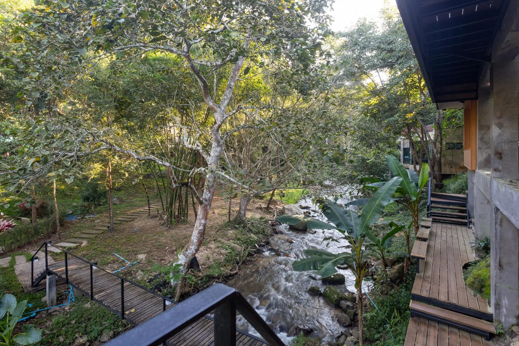 Spring in The Stream House