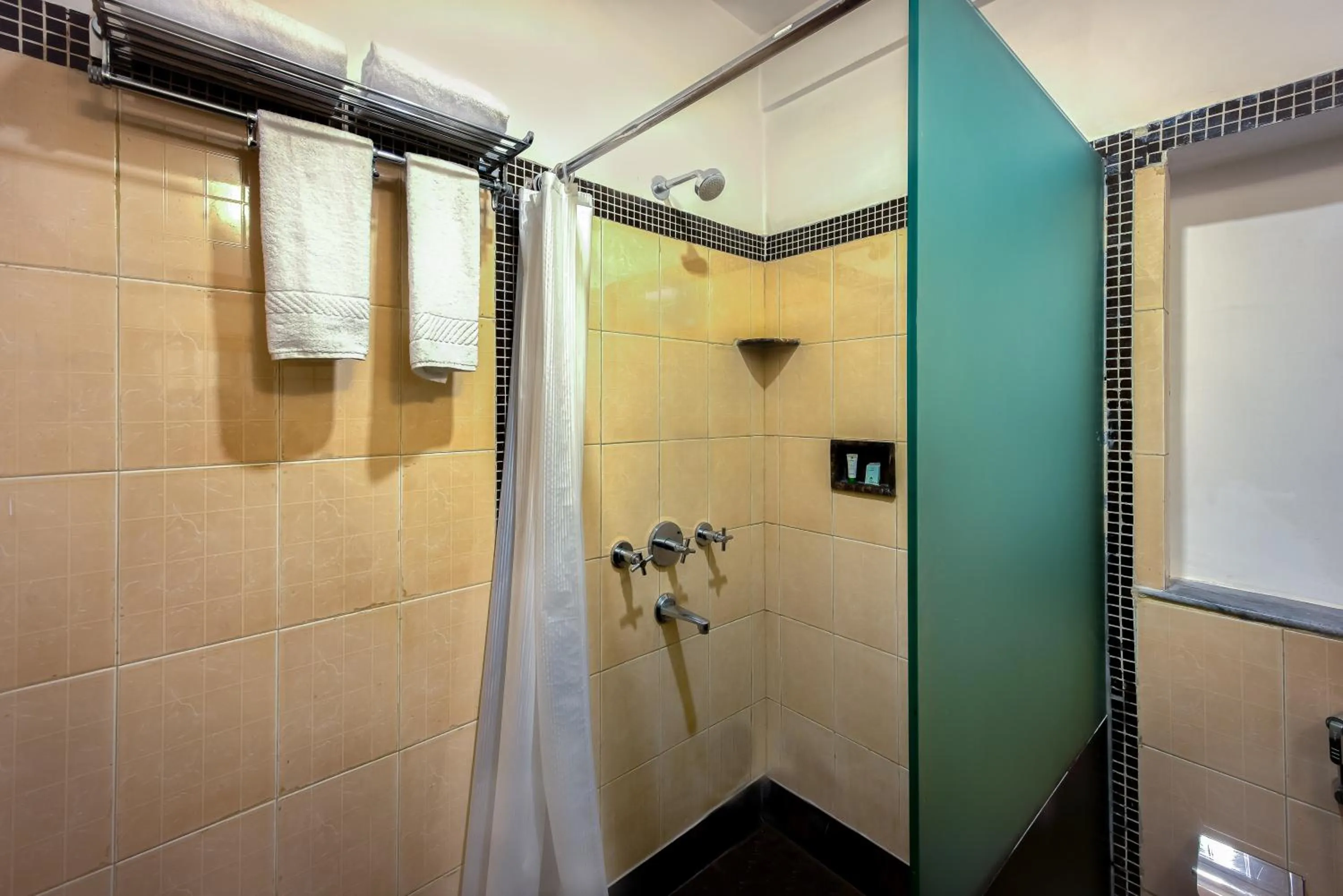 Shower in Treebo Green View, Park Circus