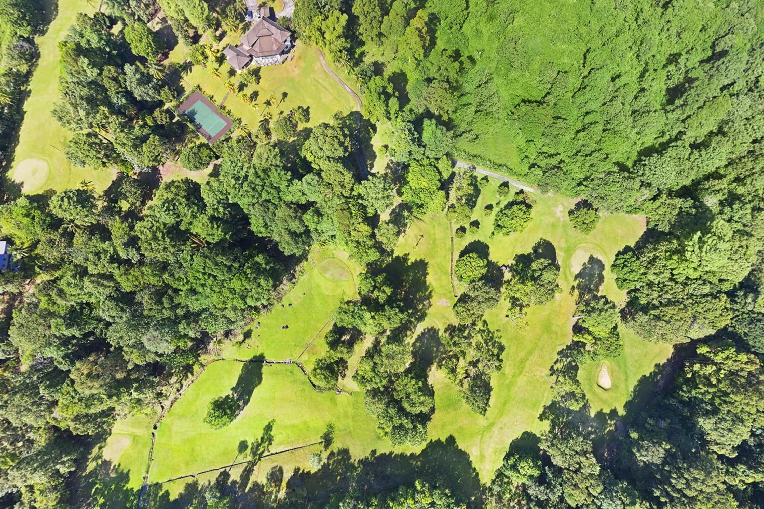 Golfcourse in Cove 55