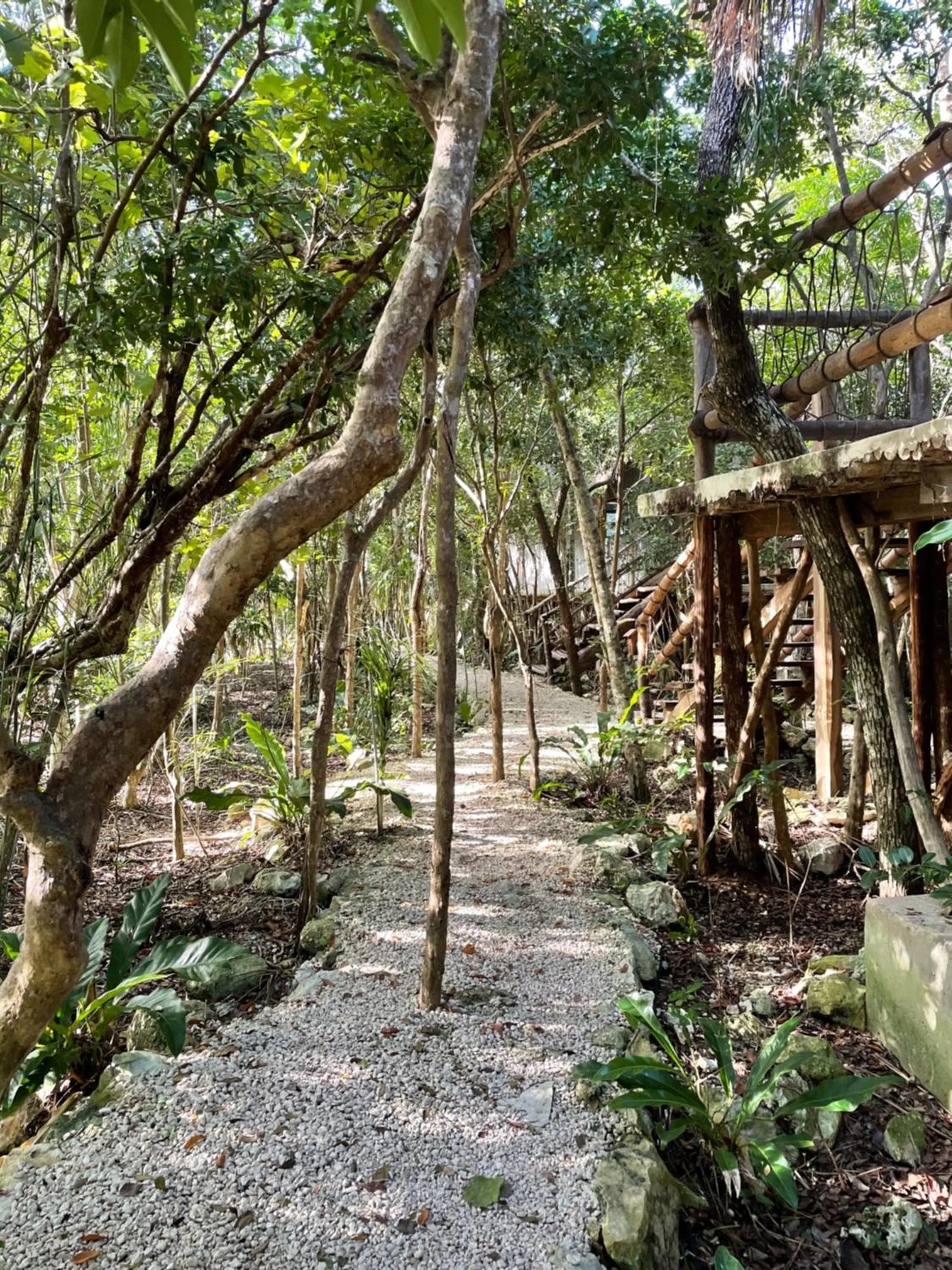Property building in Roc Jungle Tulum