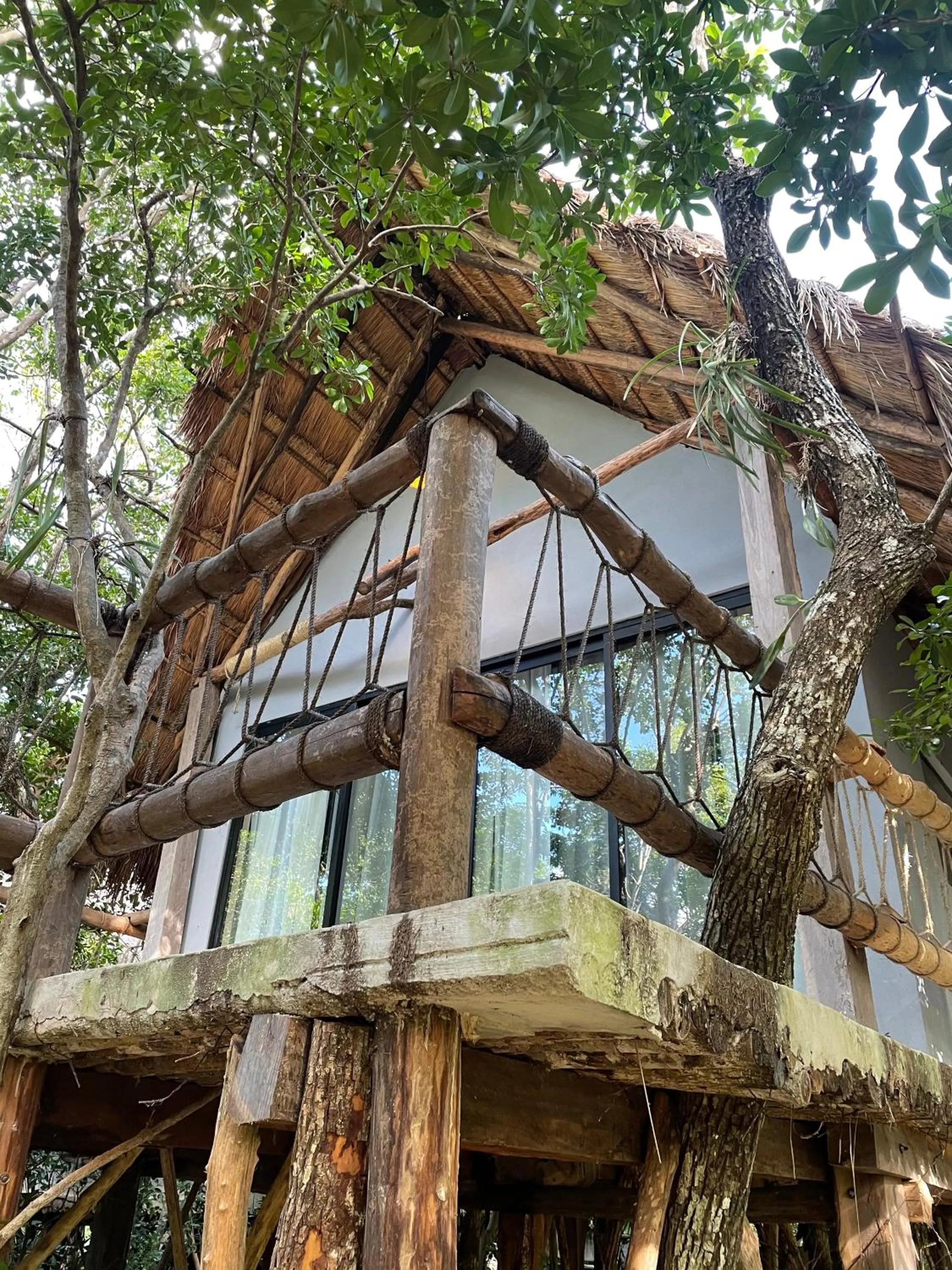 View (from property/room) in Roc Jungle Tulum