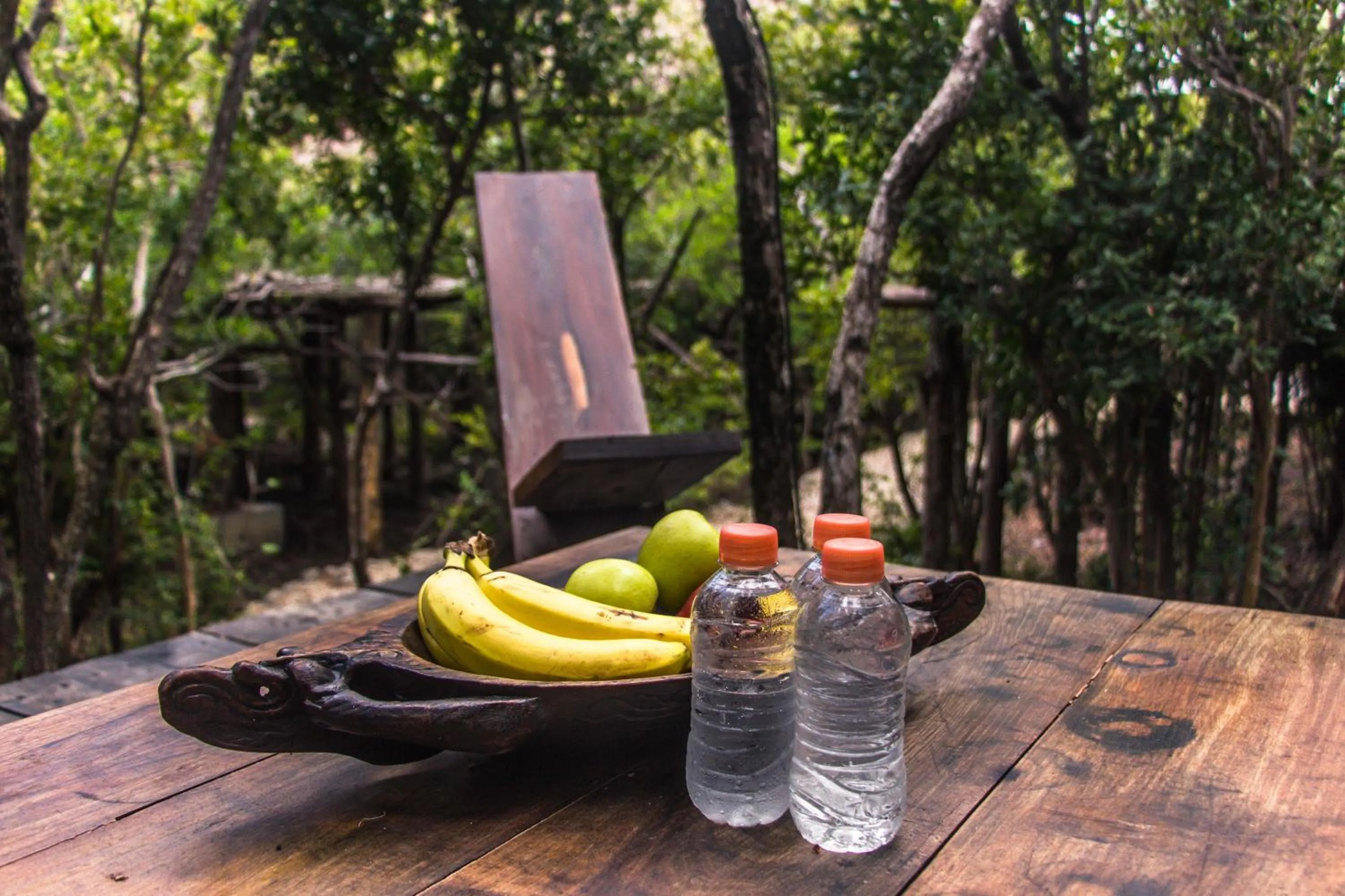 Food and drinks in Roc Jungle Tulum