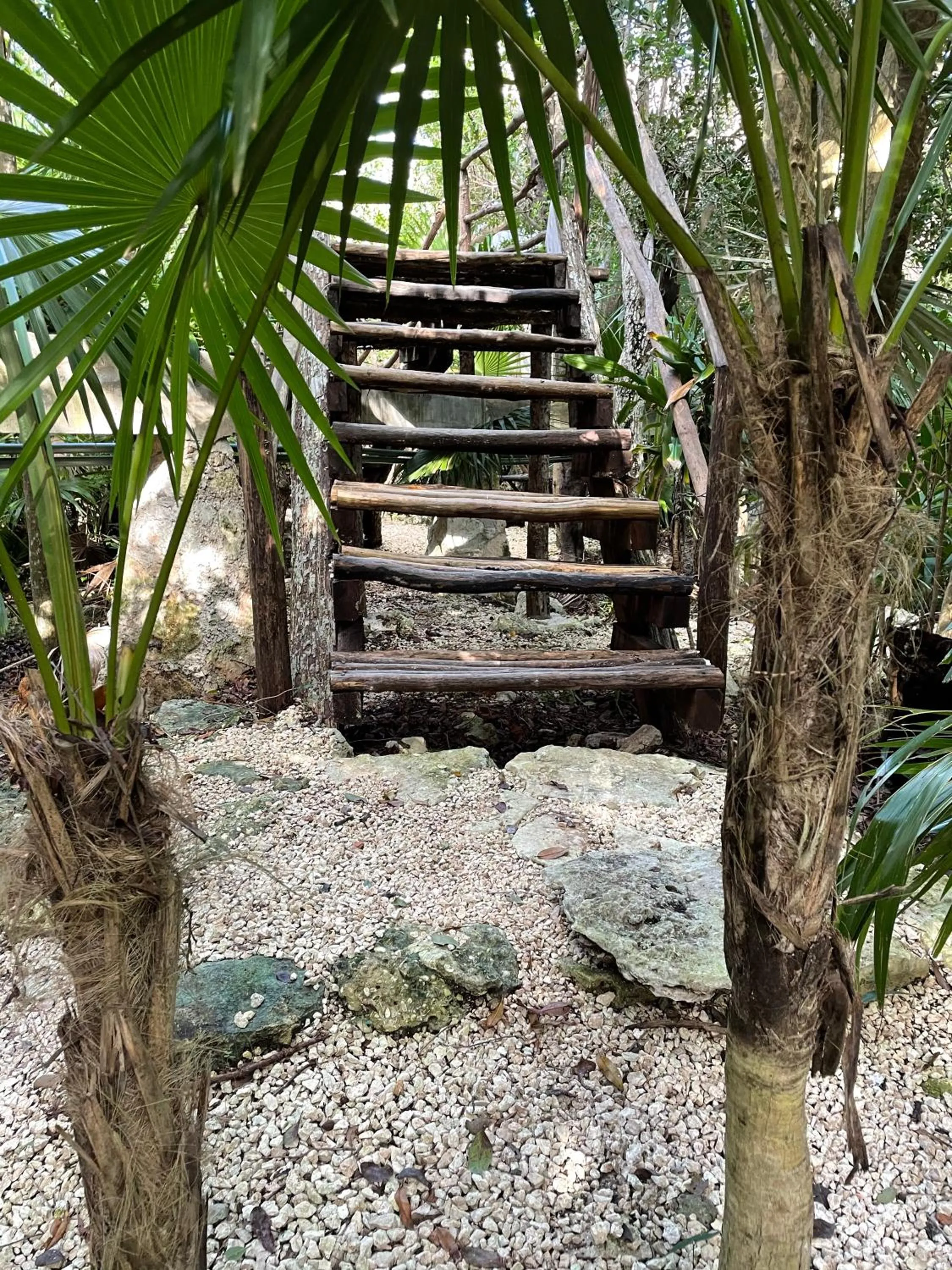 Patio in Roc Jungle Tulum