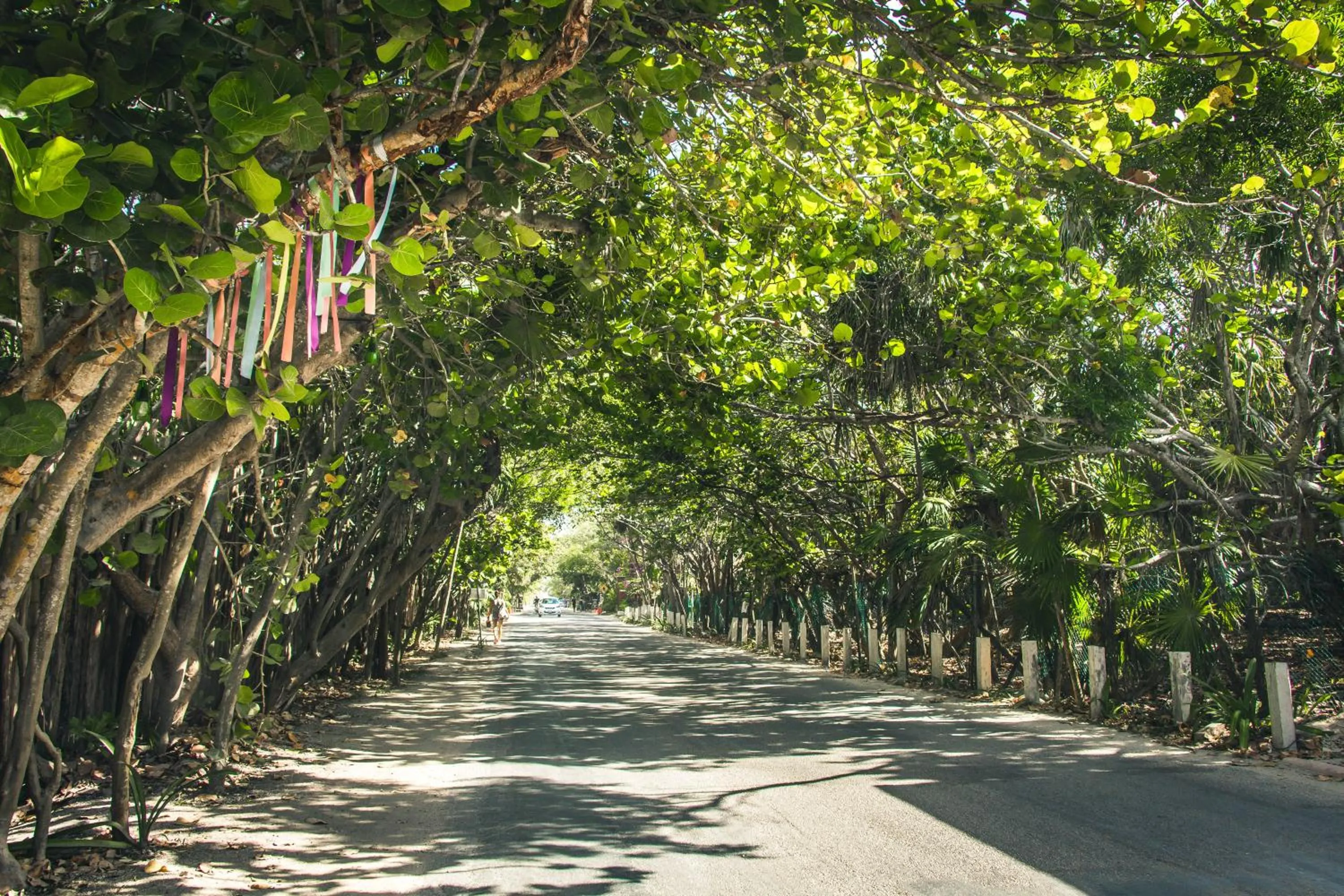 Street view in Roc Jungle Tulum