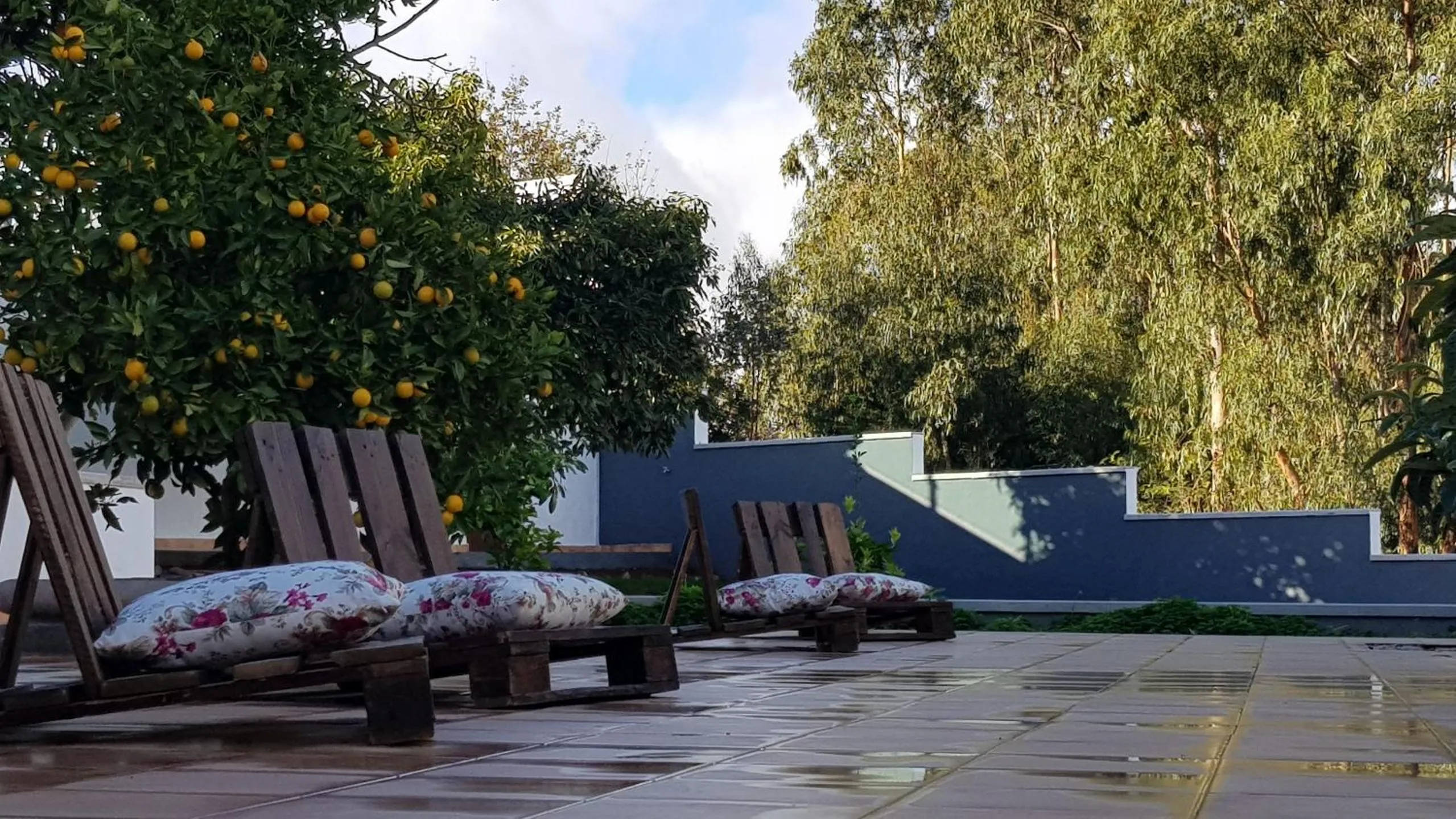 Patio in Casitas Gutiérrez