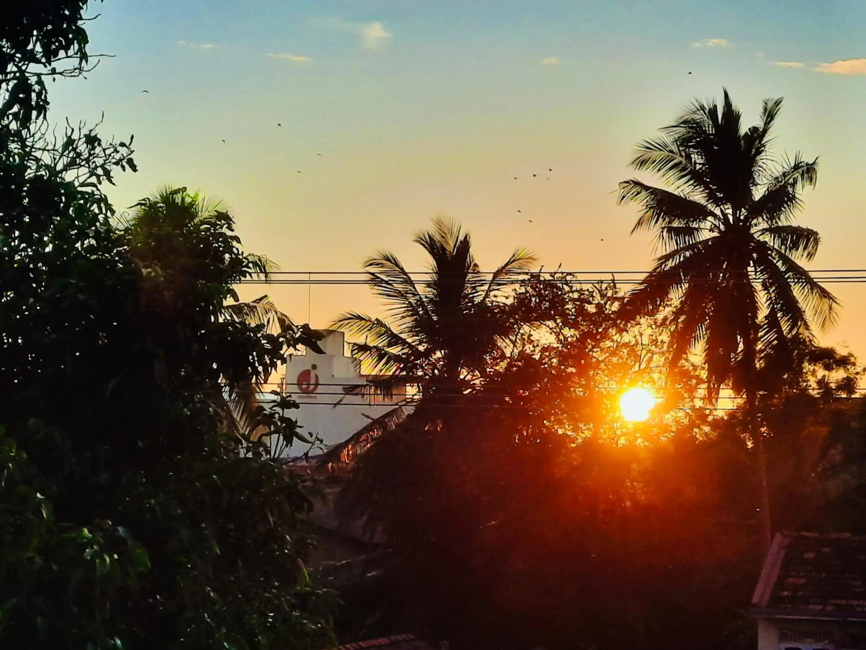 View (from property/room) in Hotel Dorset View (from property/room) in Hotel Dorset