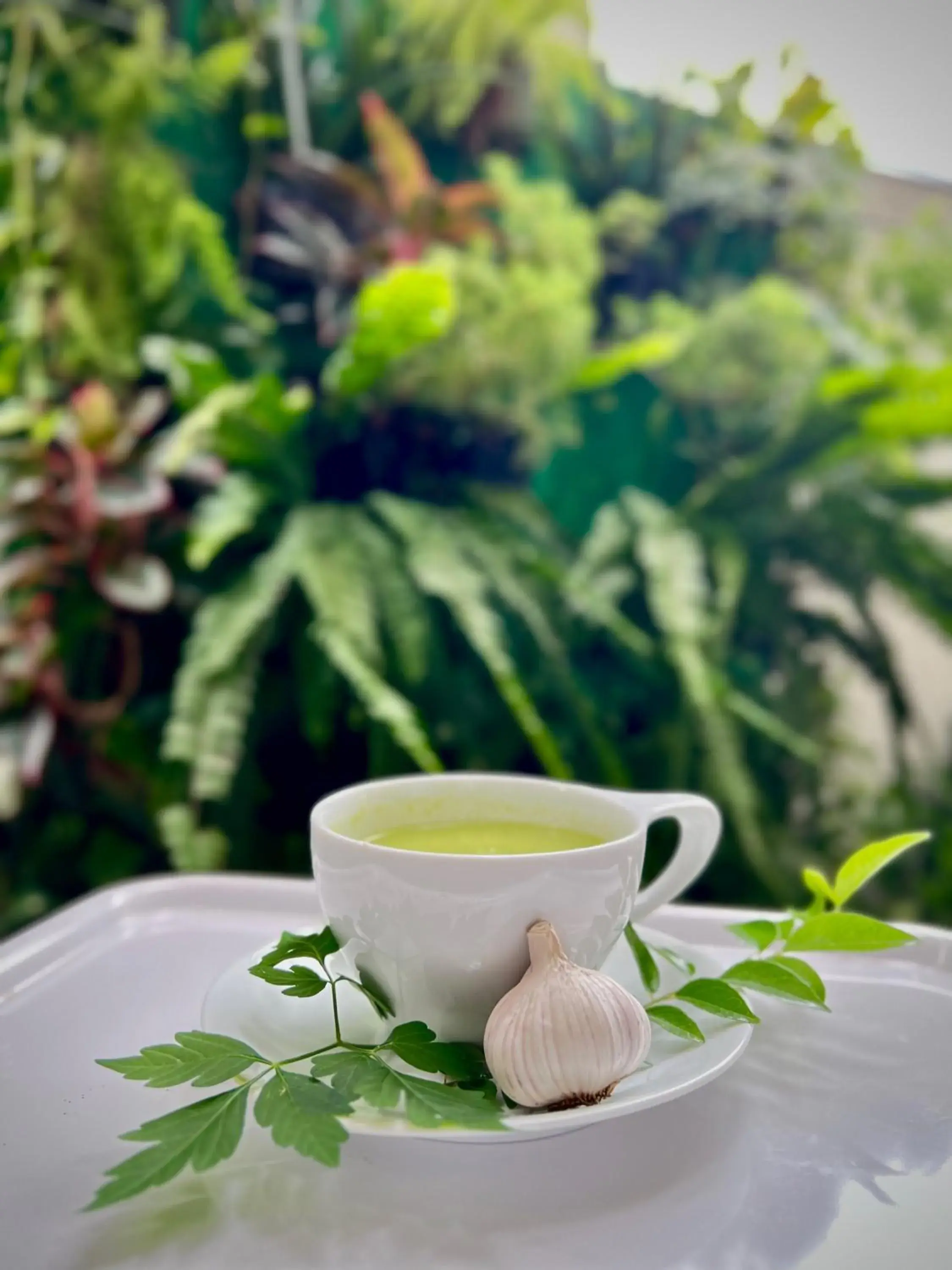 Restaurant/places to eat in Hotel Dorset Restaurant/places to eat in Hotel Dorset