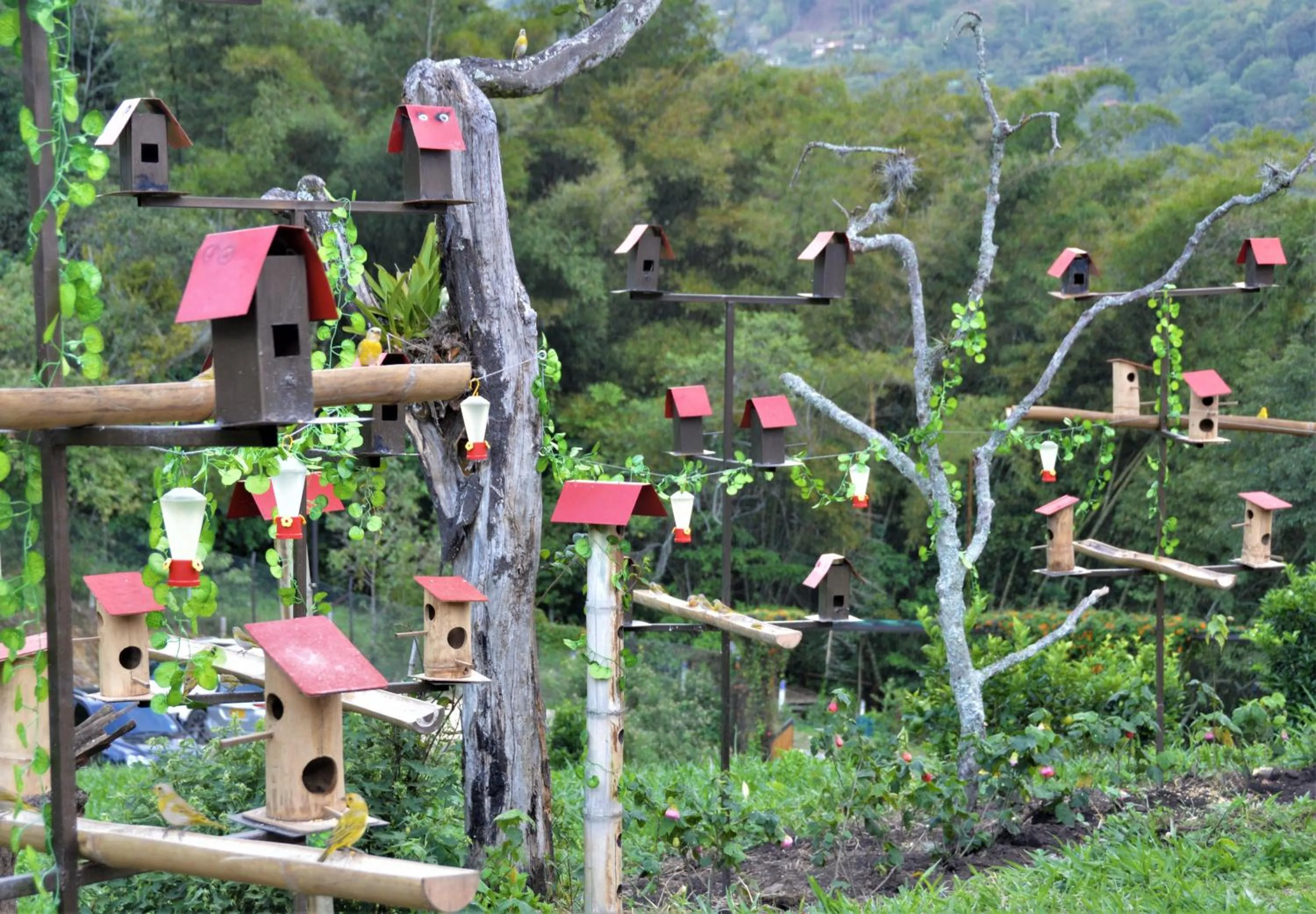 Natural landscape in Natubri Ecohotel