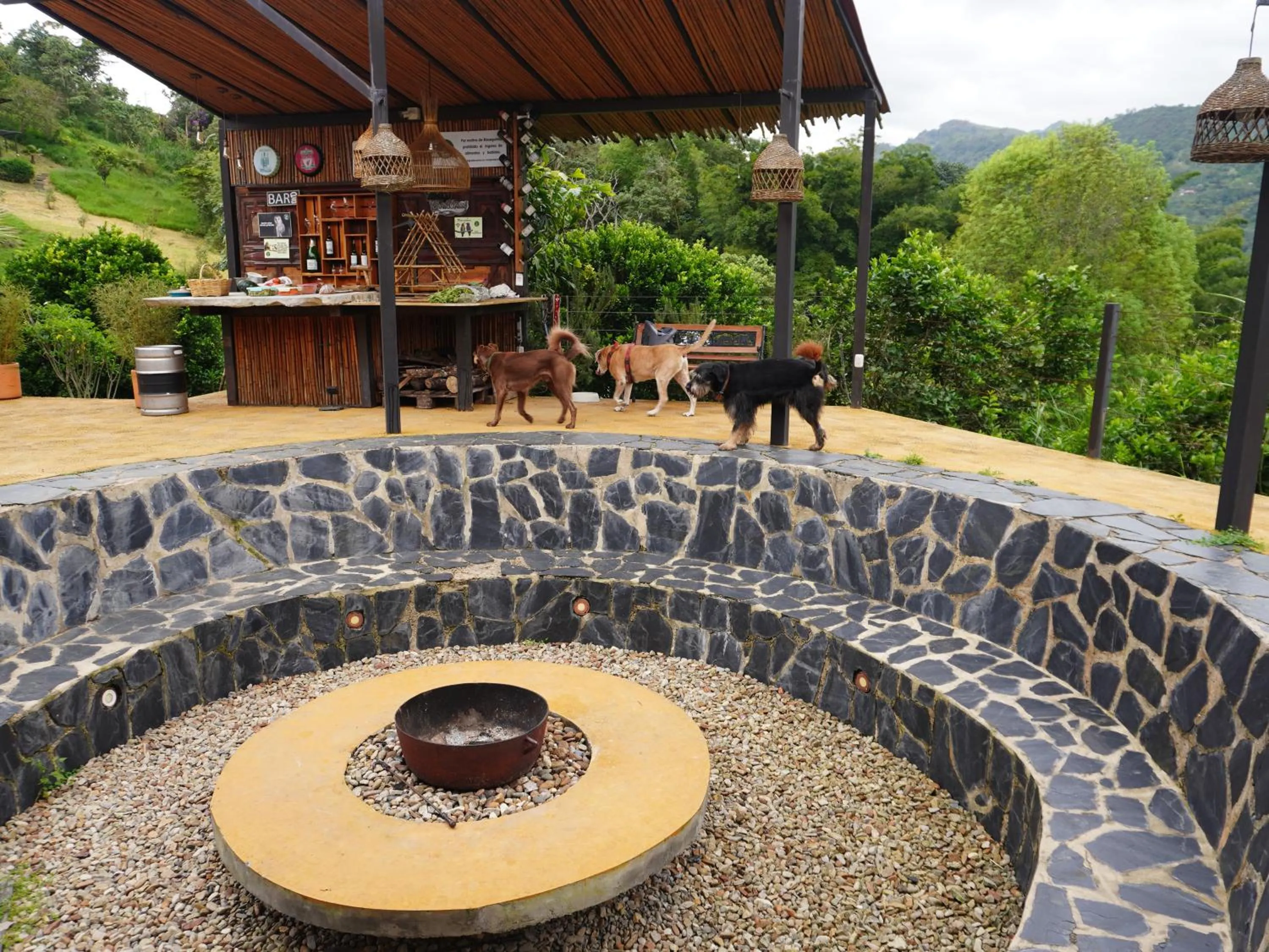 Pets in Natubri Ecohotel