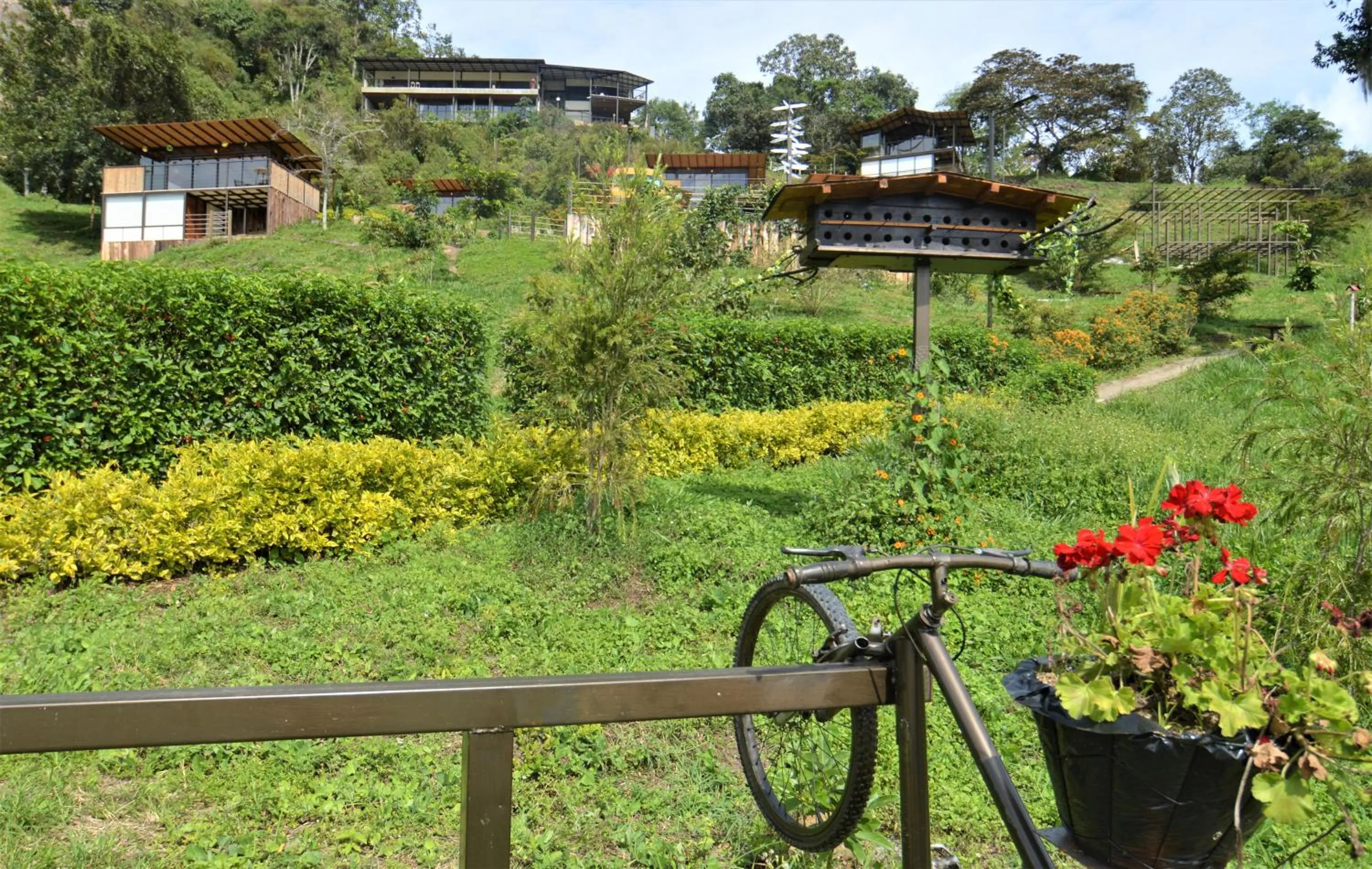 Natural landscape in Natubri Ecohotel