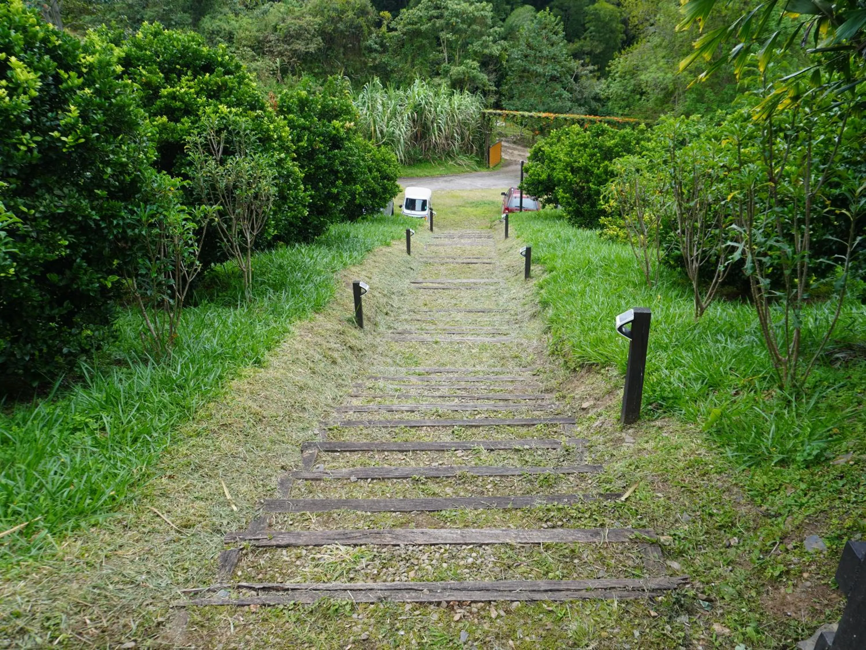 Lobby or reception in Natubri Ecohotel