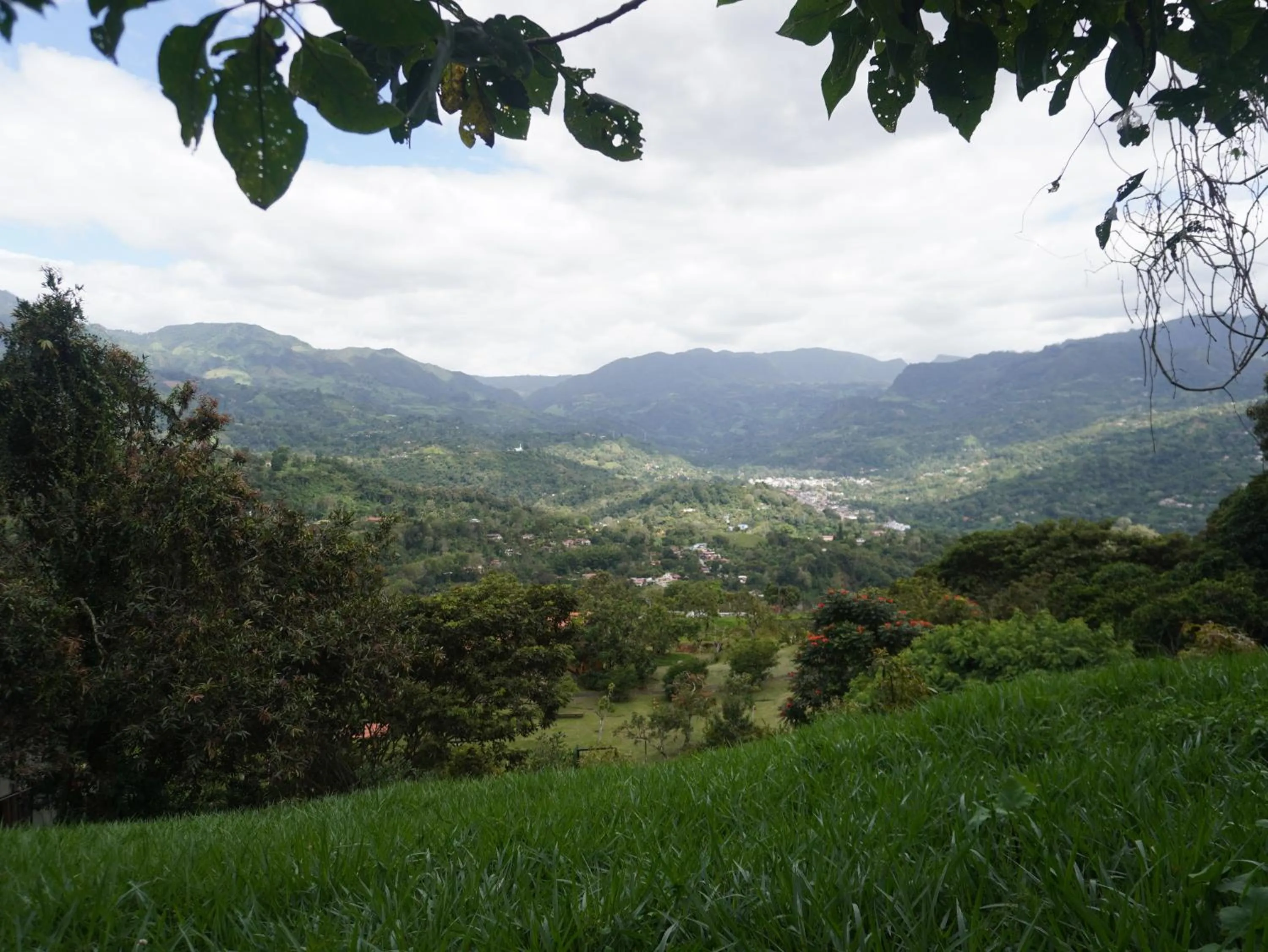 Garden view in Natubri Ecohotel