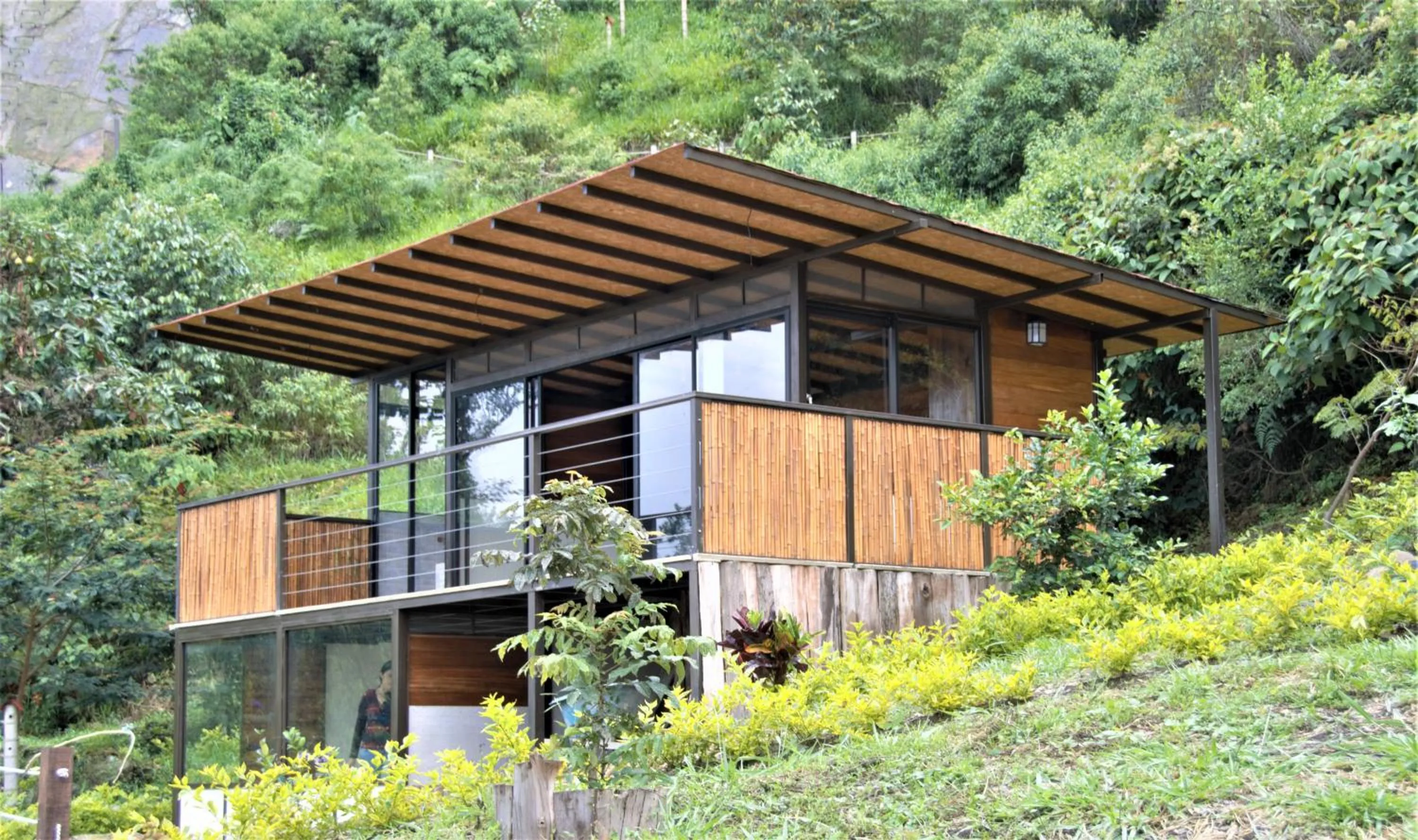 View (from property/room) in Natubri Ecohotel