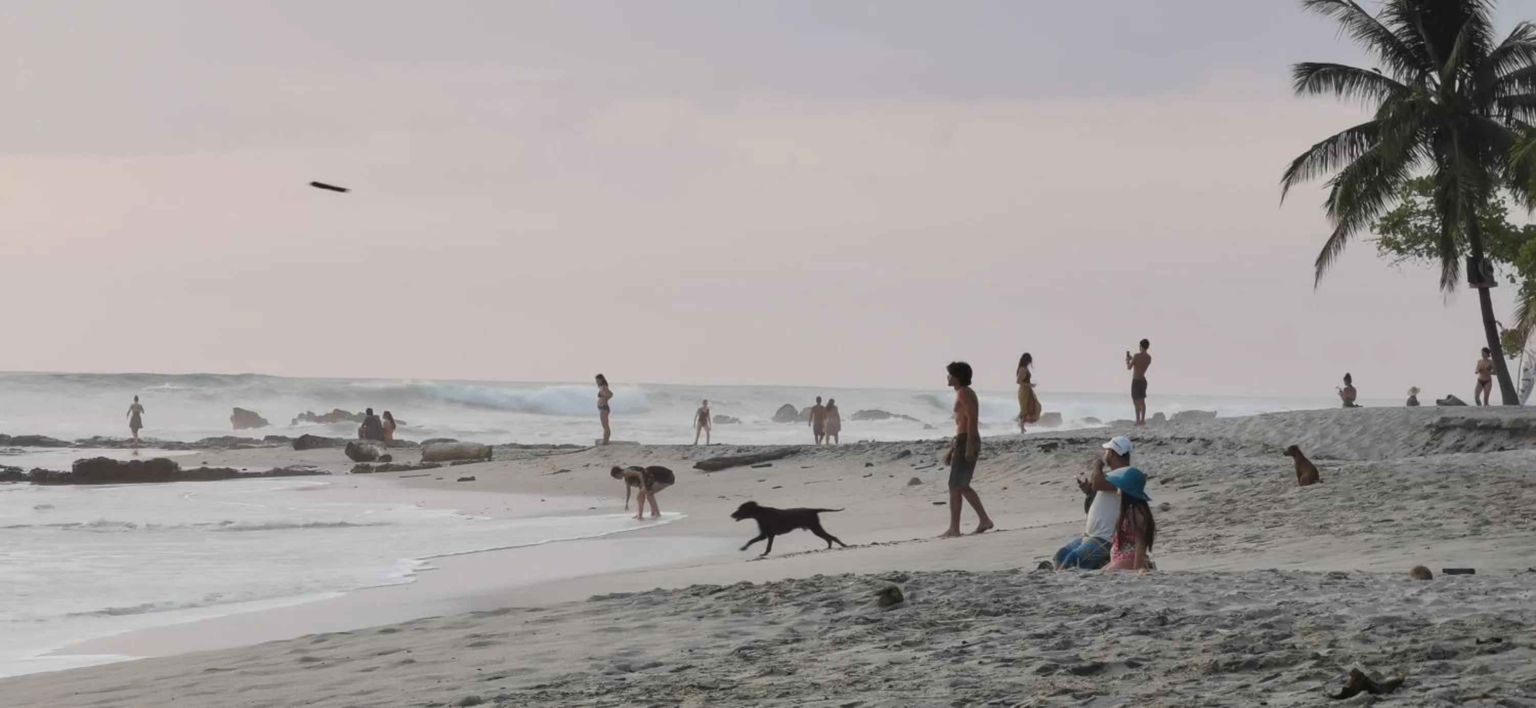 Day in Hotel Ritmo Tropical - Pool and Breakfast
