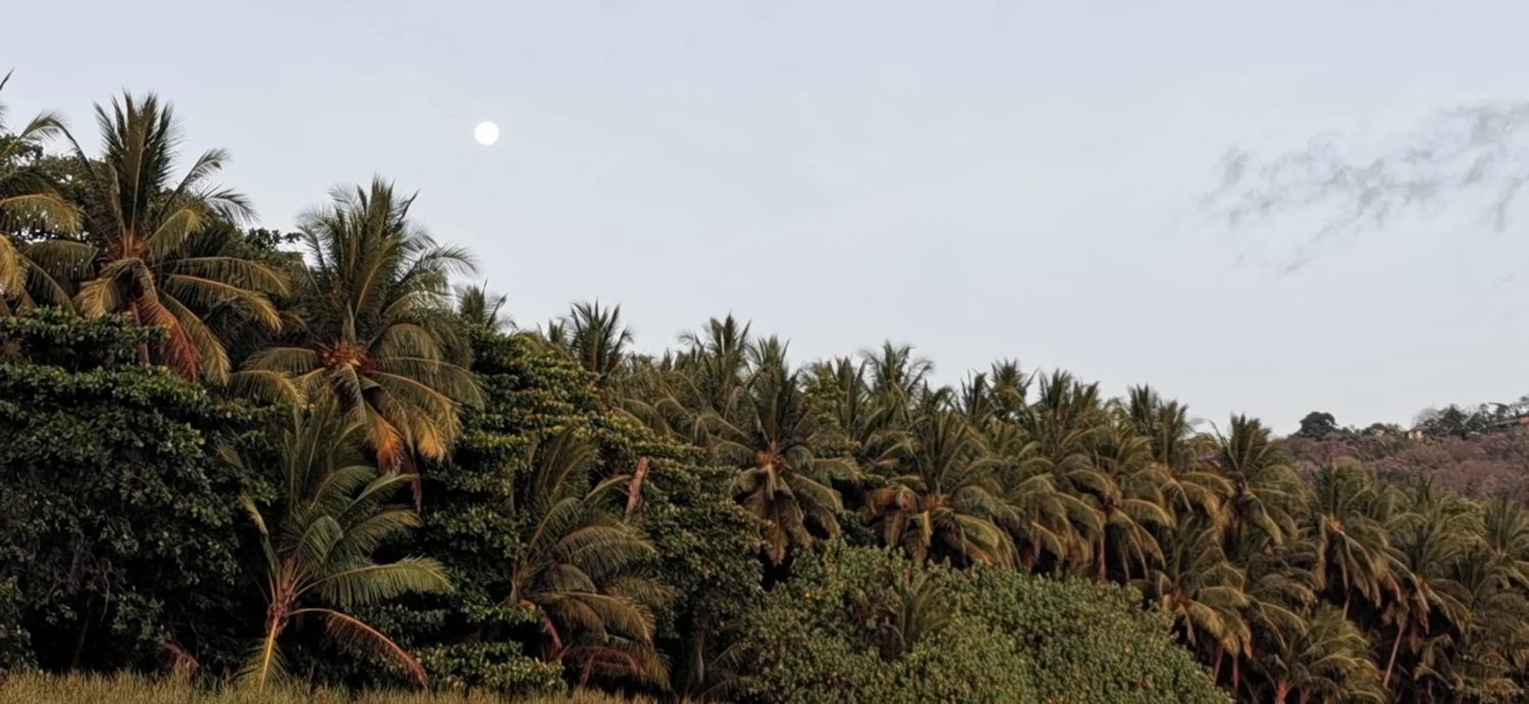 Day in Hotel Ritmo Tropical - Pool and Breakfast