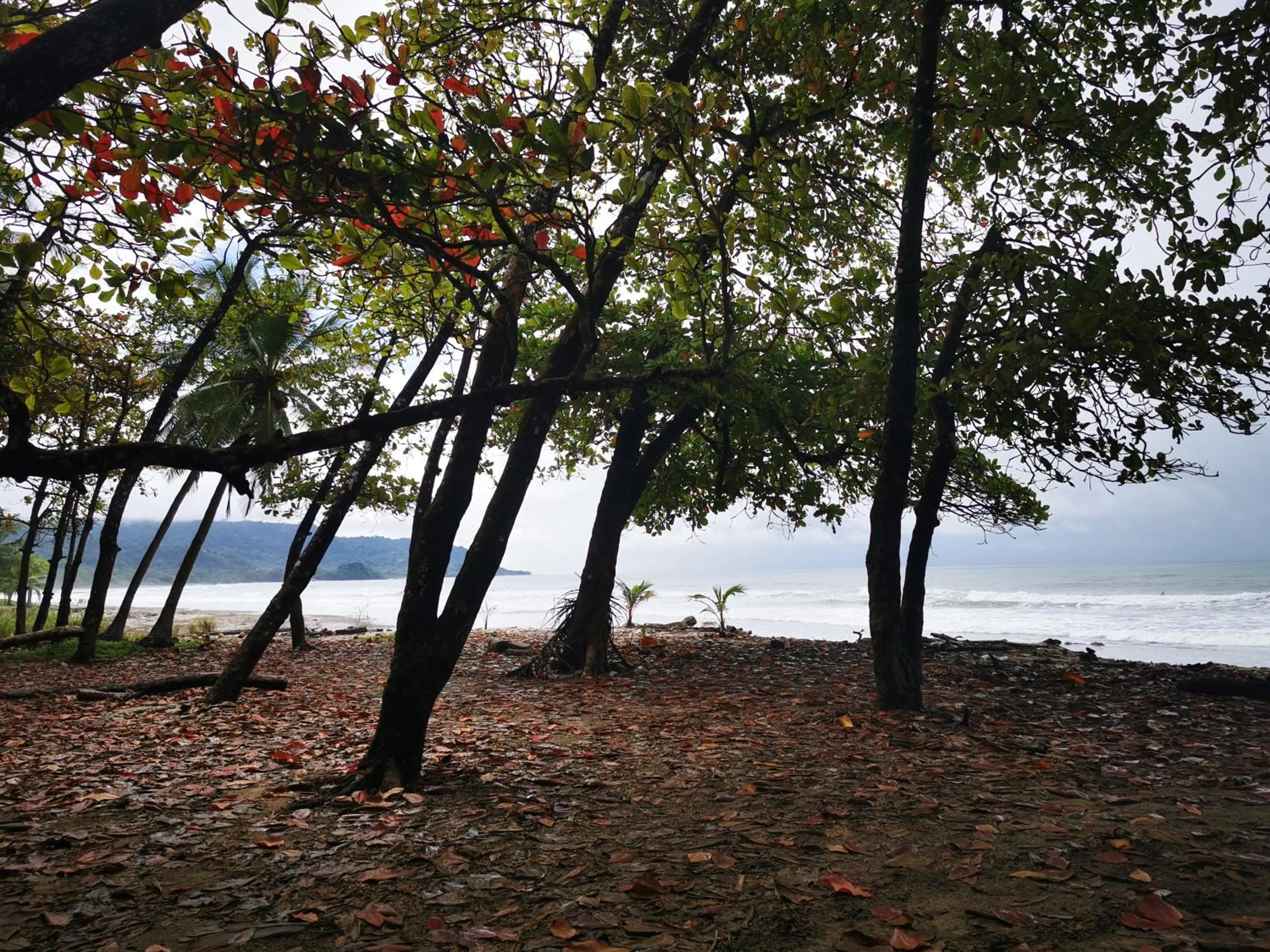 Day in Hotel Ritmo Tropical - Pool and Breakfast