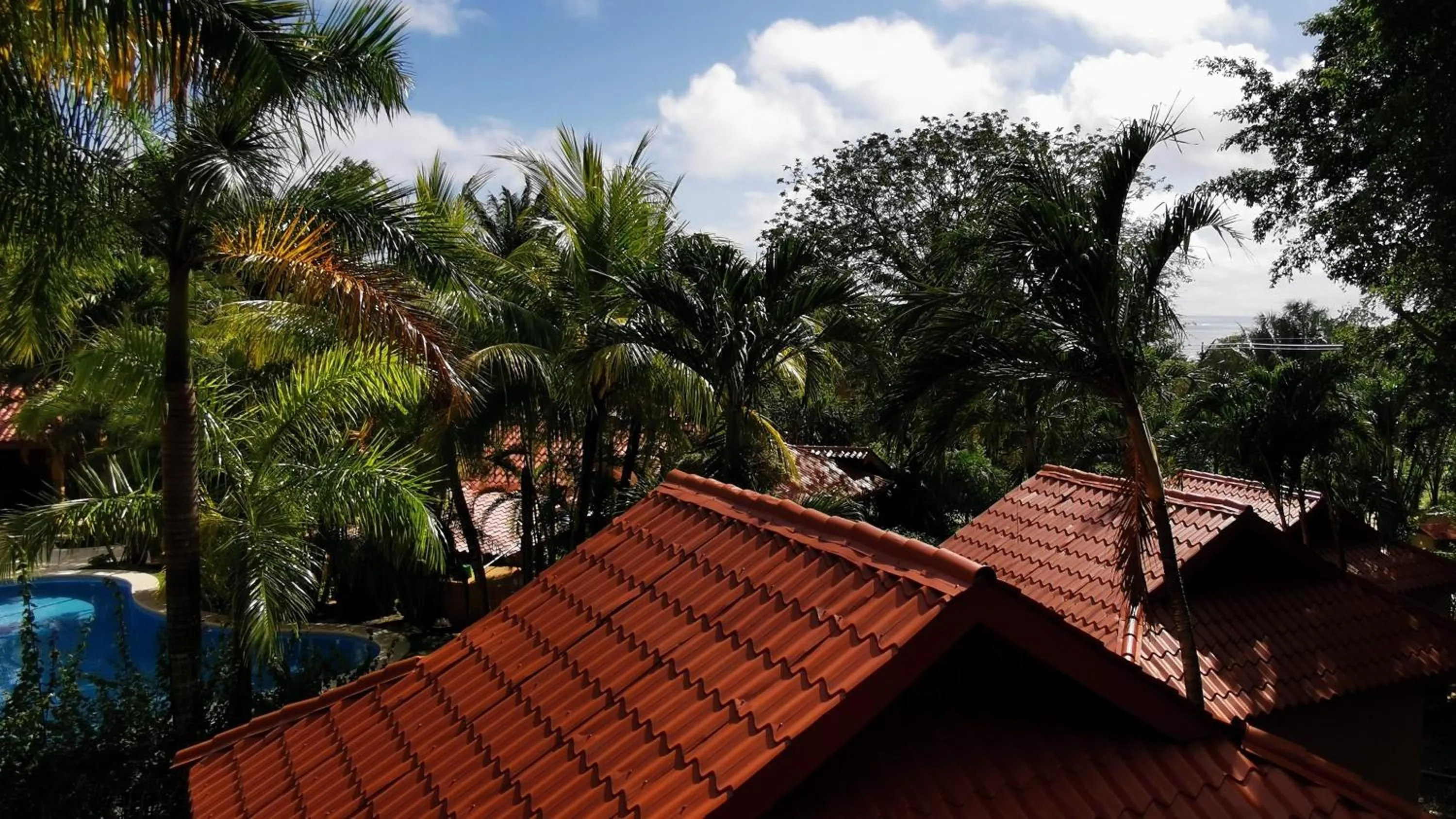 Neighbourhood in Hotel Ritmo Tropical - Pool and Breakfast