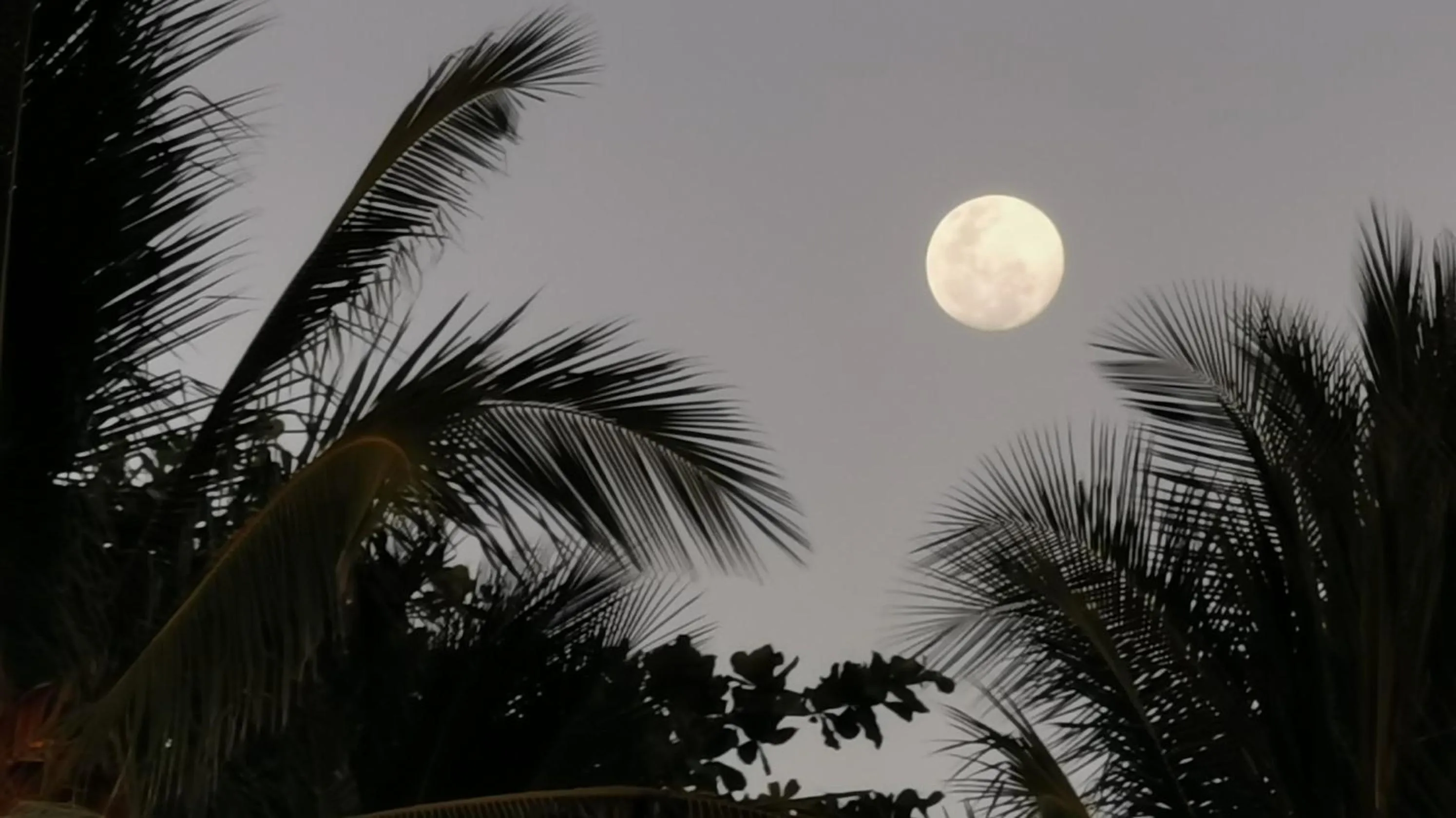 Night in Hotel Ritmo Tropical - Pool and Breakfast