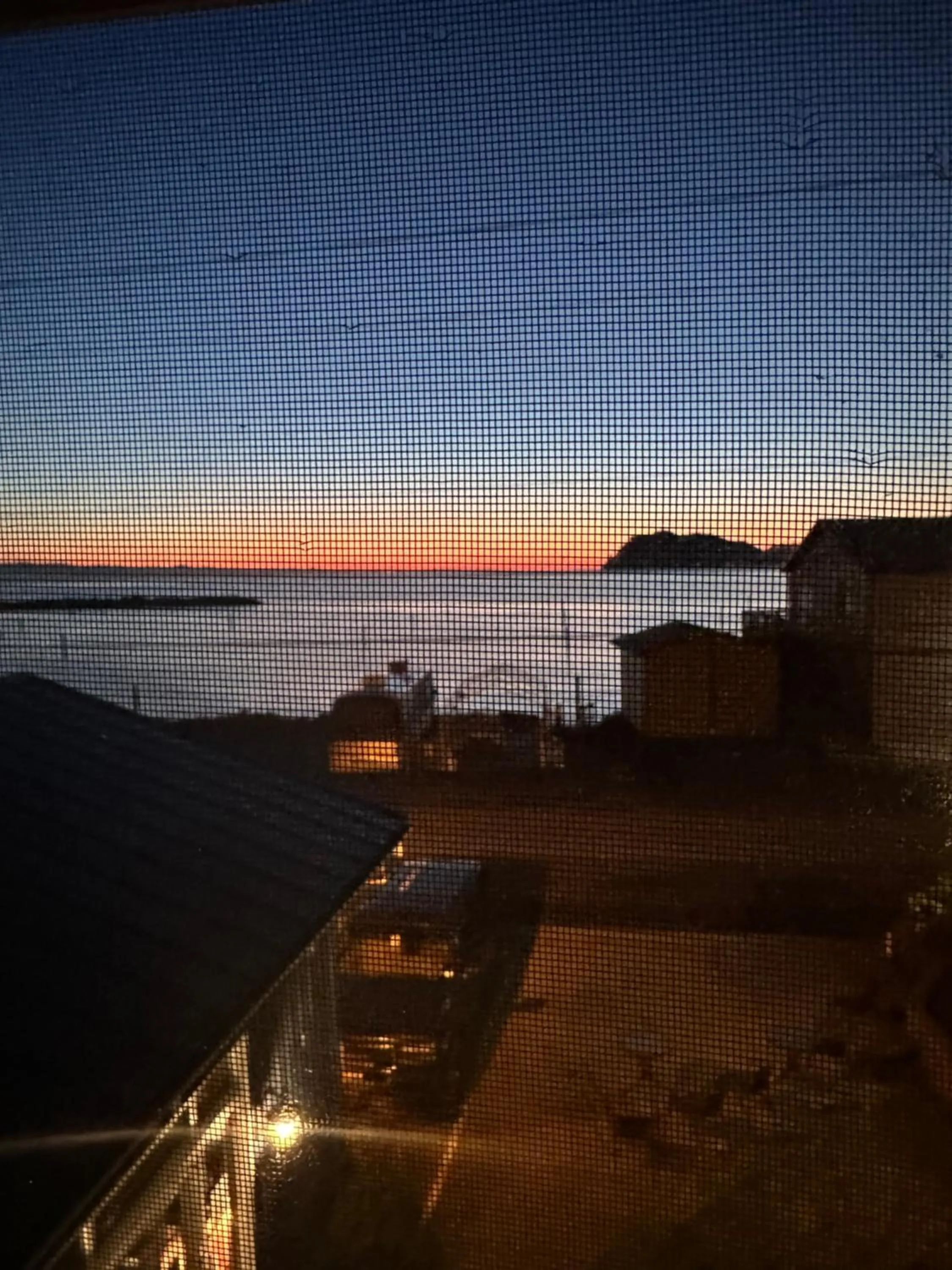 Beach in Curley's Resort & Dive Center