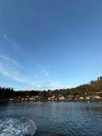 Curley's Resort & Dive Center