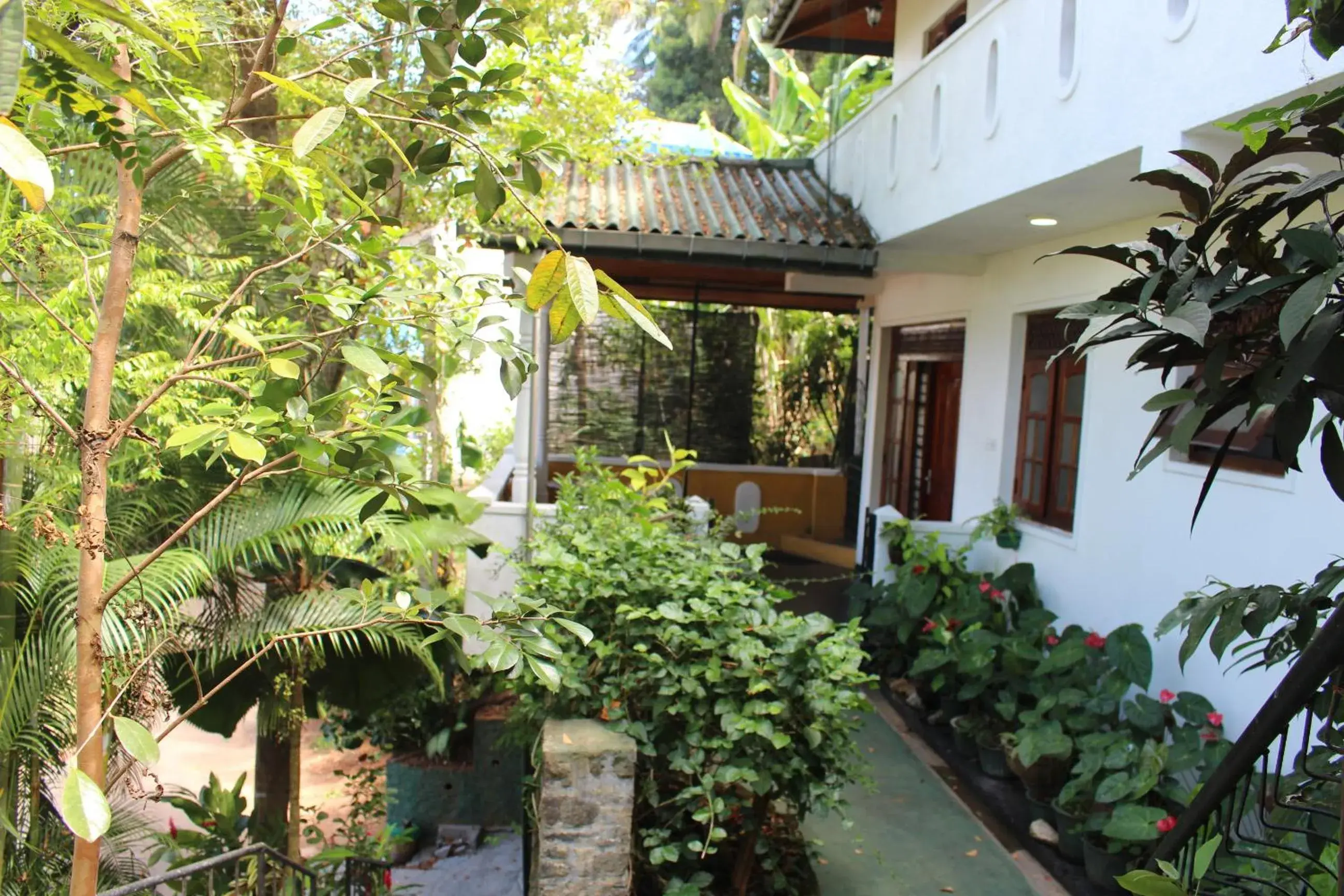 Alex Home Stay Alex Home Stay