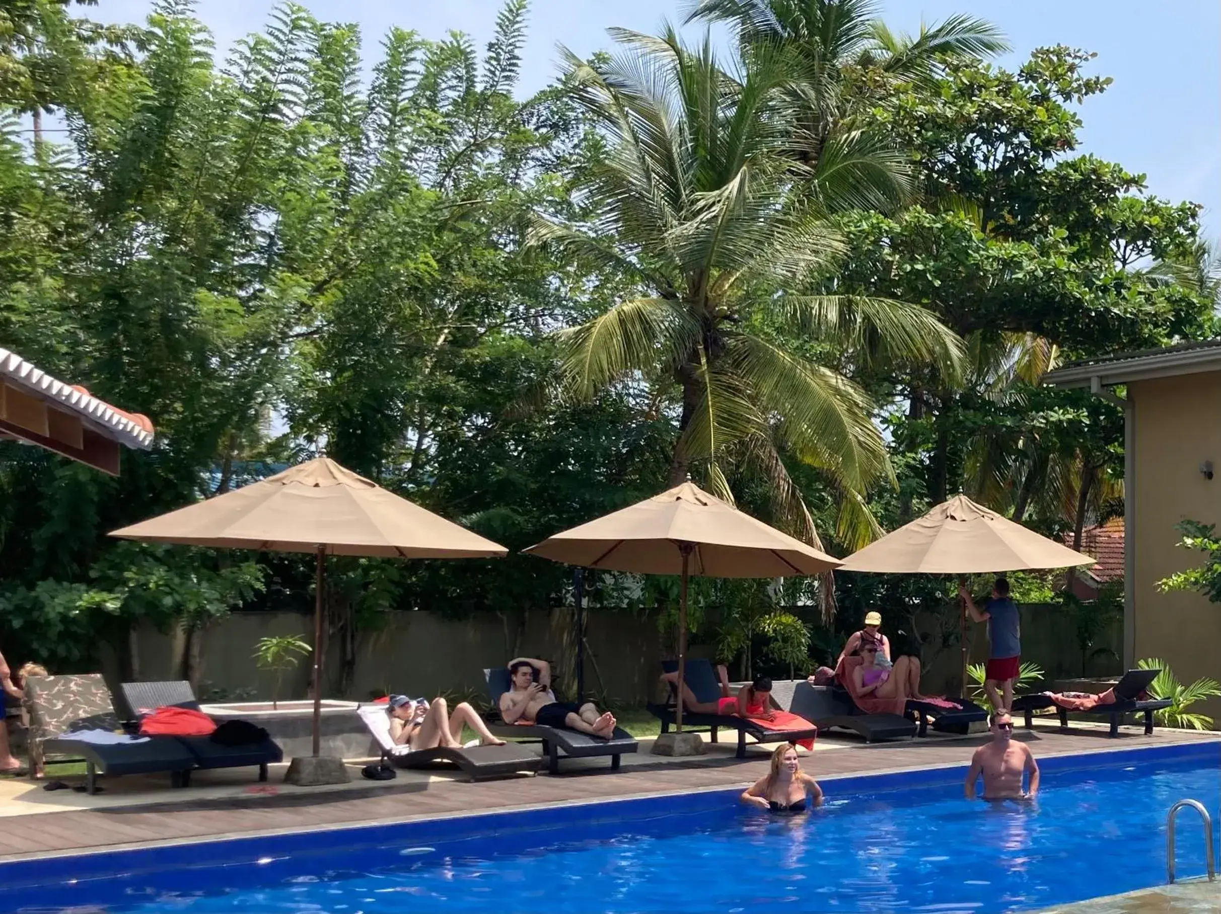 Swimming pool in Handagedara Resort & Spa Swimming pool in Handagedara Resort & Spa