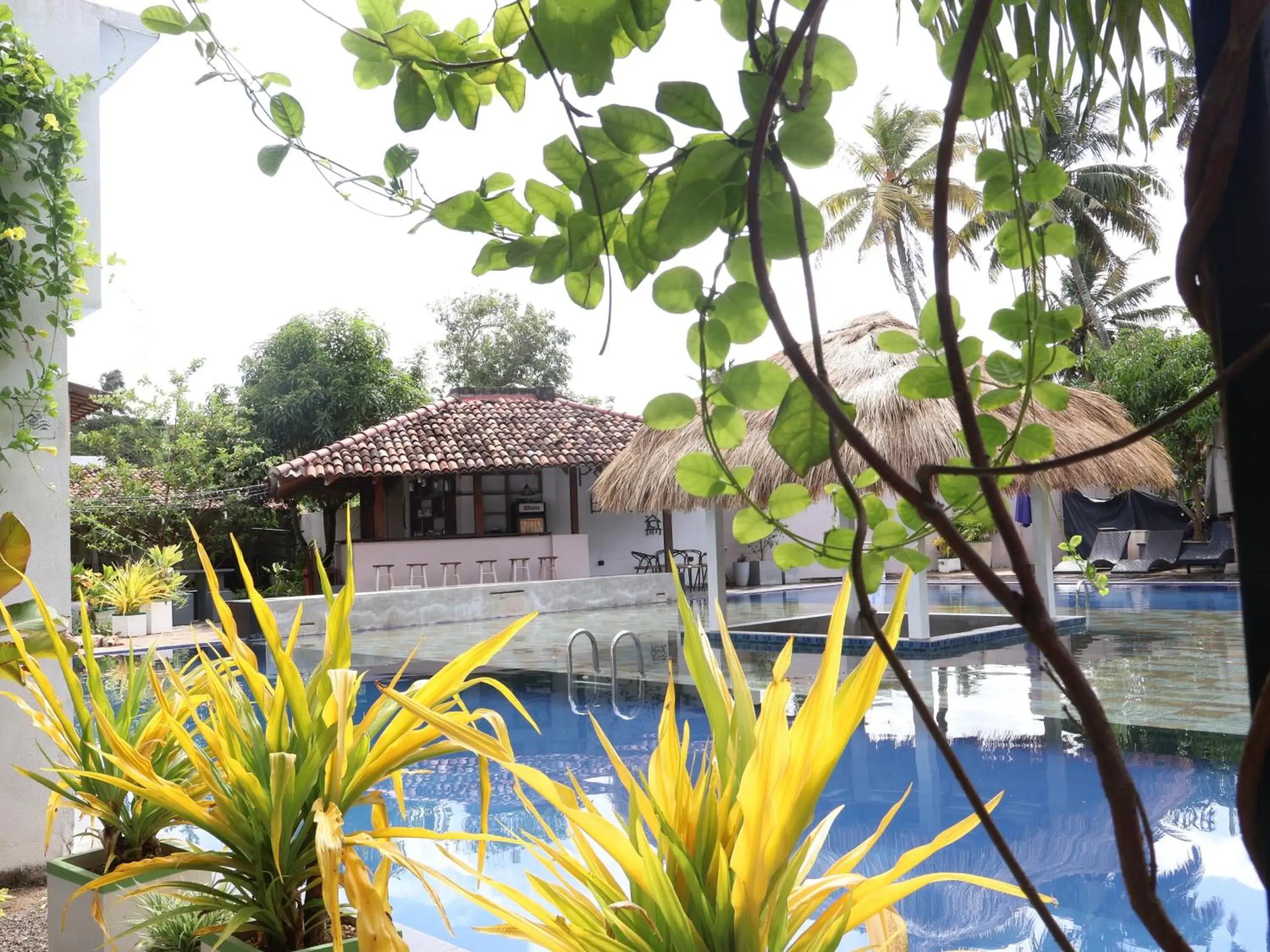 Swimming pool in Handagedara Resort & Spa Swimming pool in Handagedara Resort & Spa
