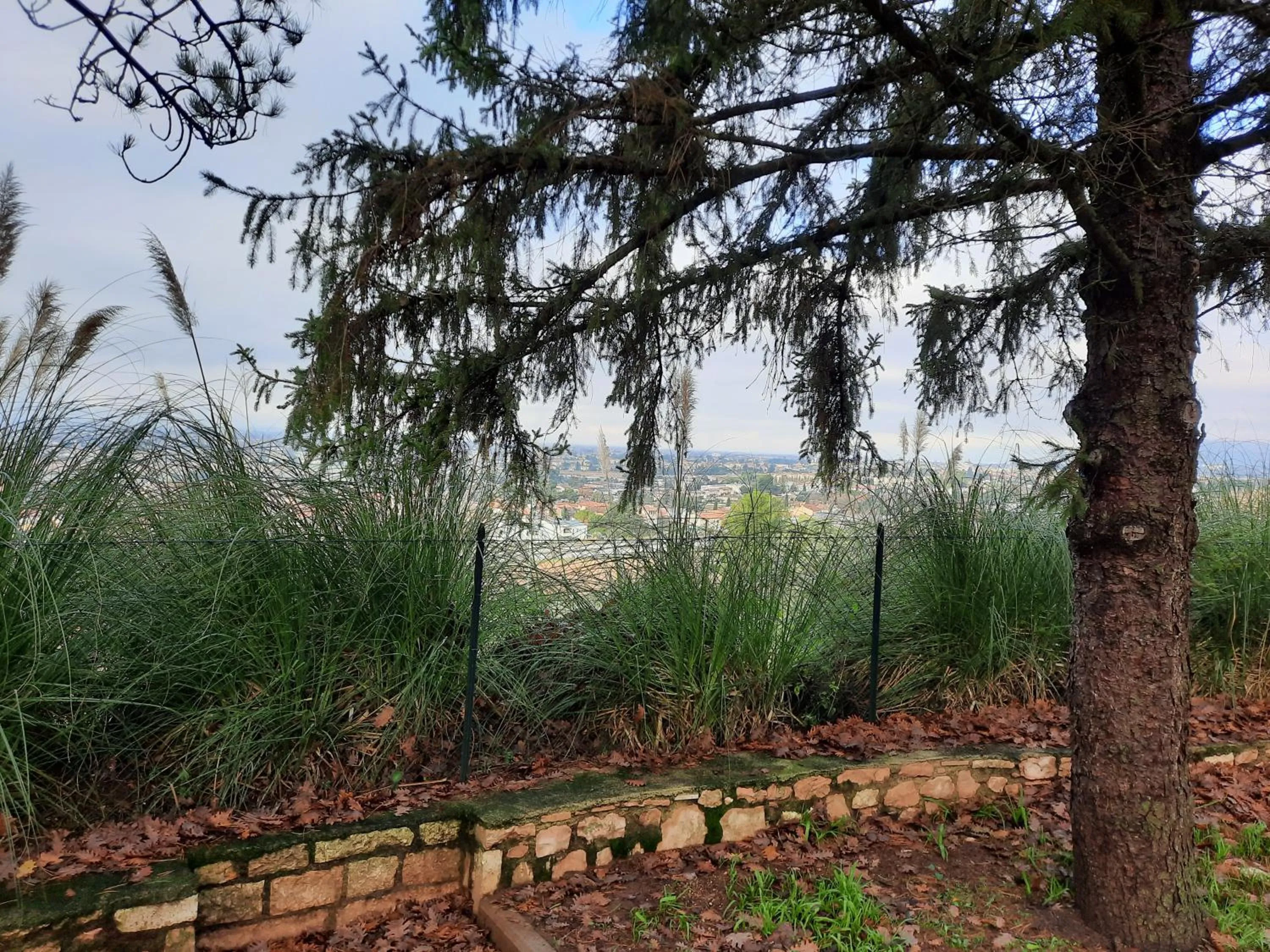 Property building in Affittacamere Santa Maria di Betlem