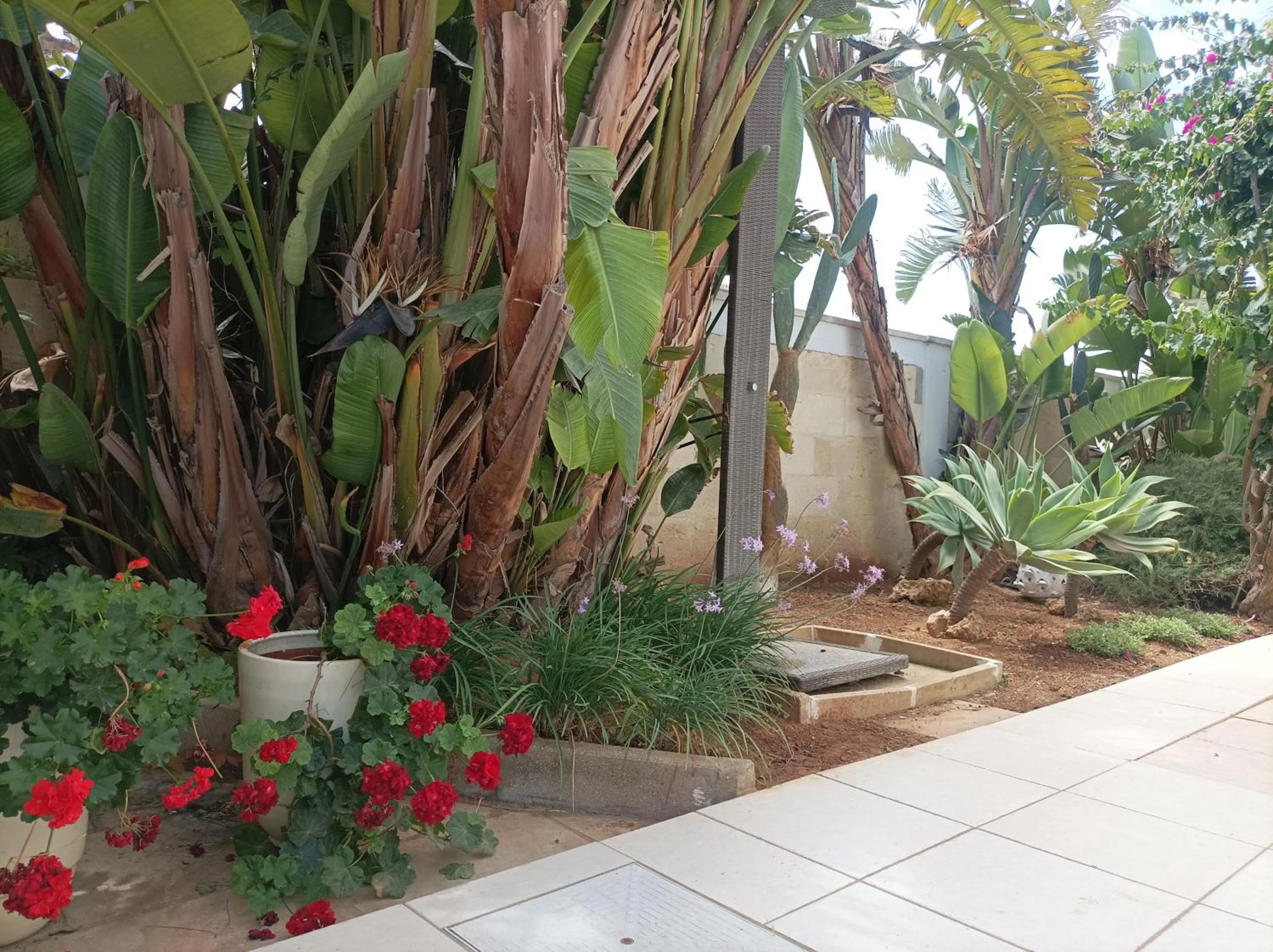 Garden view in La Giara Resort