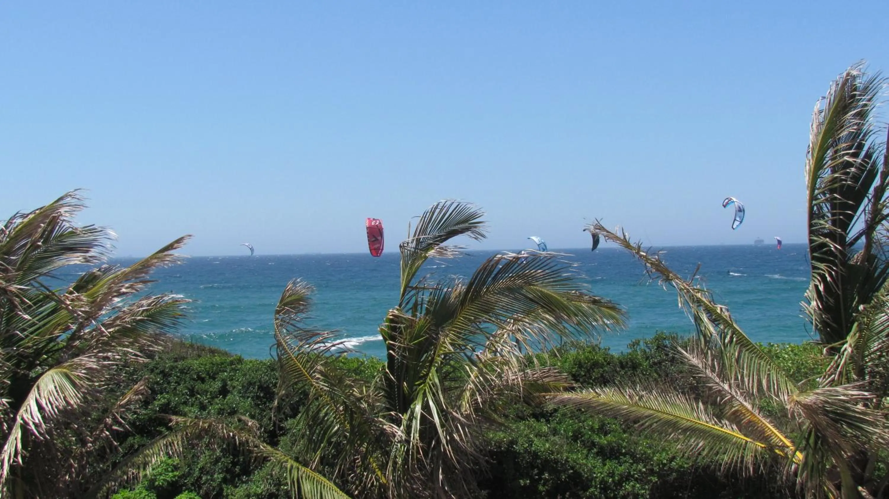 Windsurfing in Bentley on the Beach