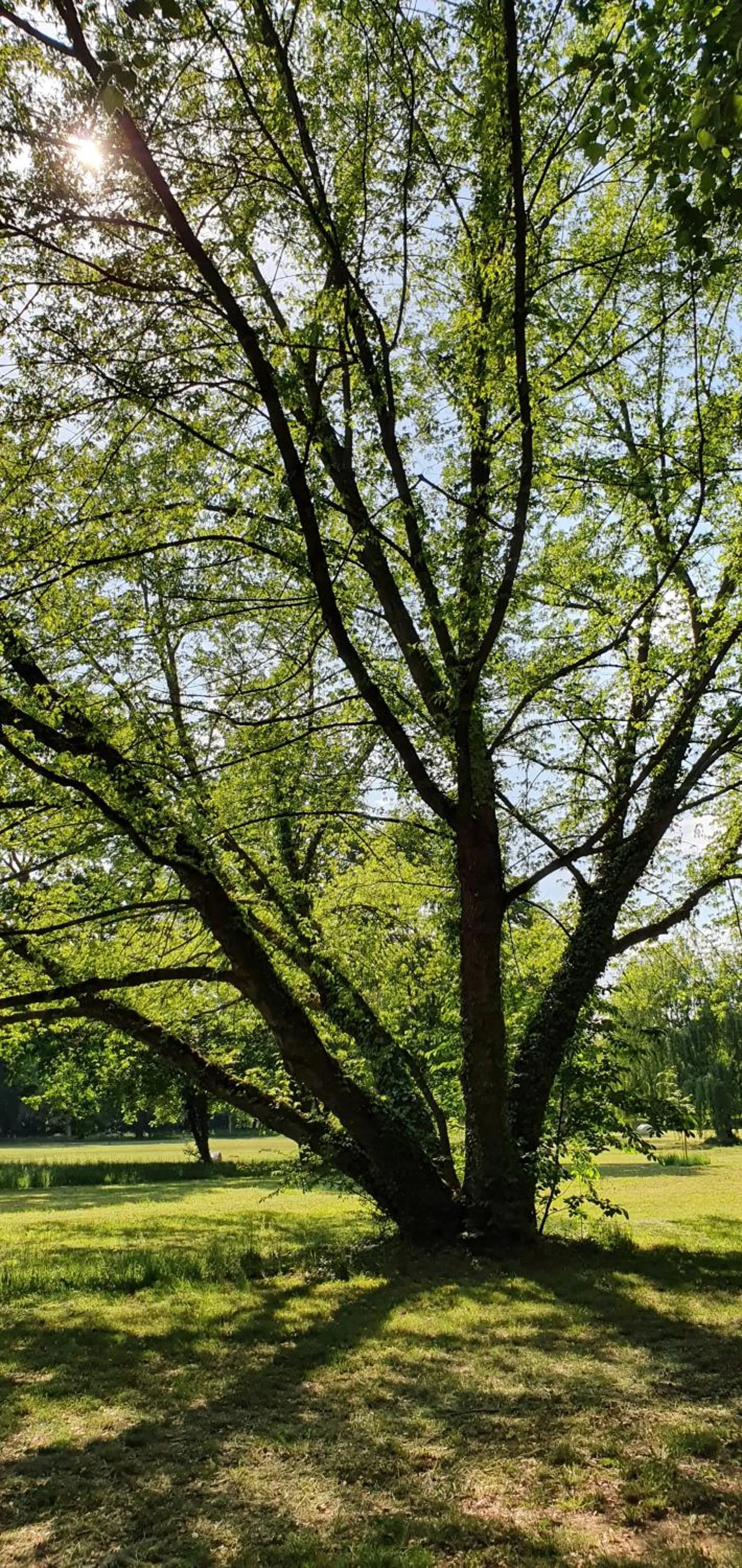 Hiking in Eden Hotel
