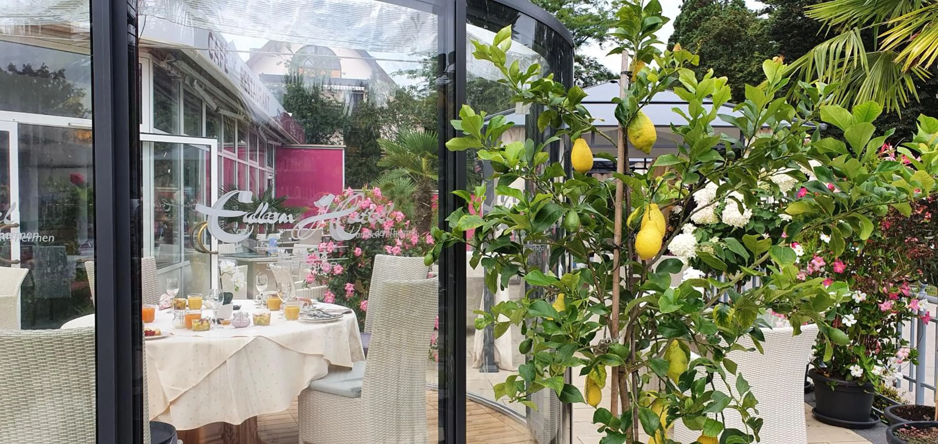 Restaurant/places to eat in Eden Hotel