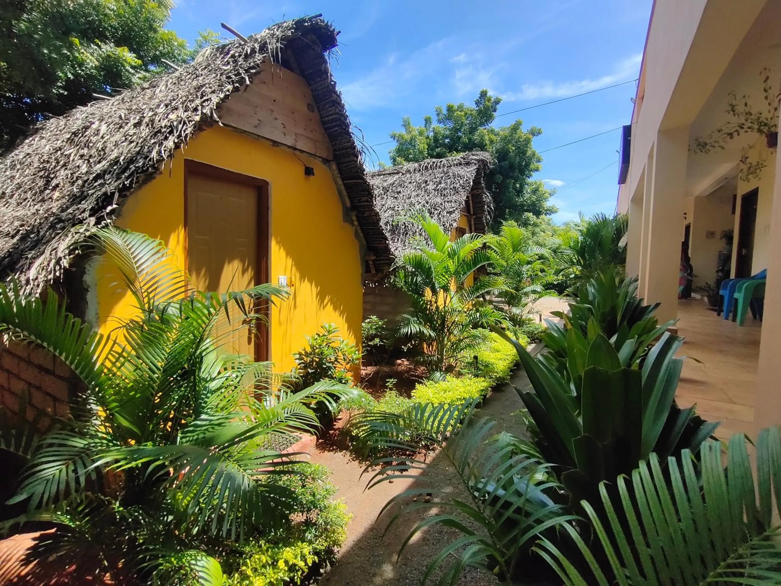 Property building in PV Resort - Auro Beach