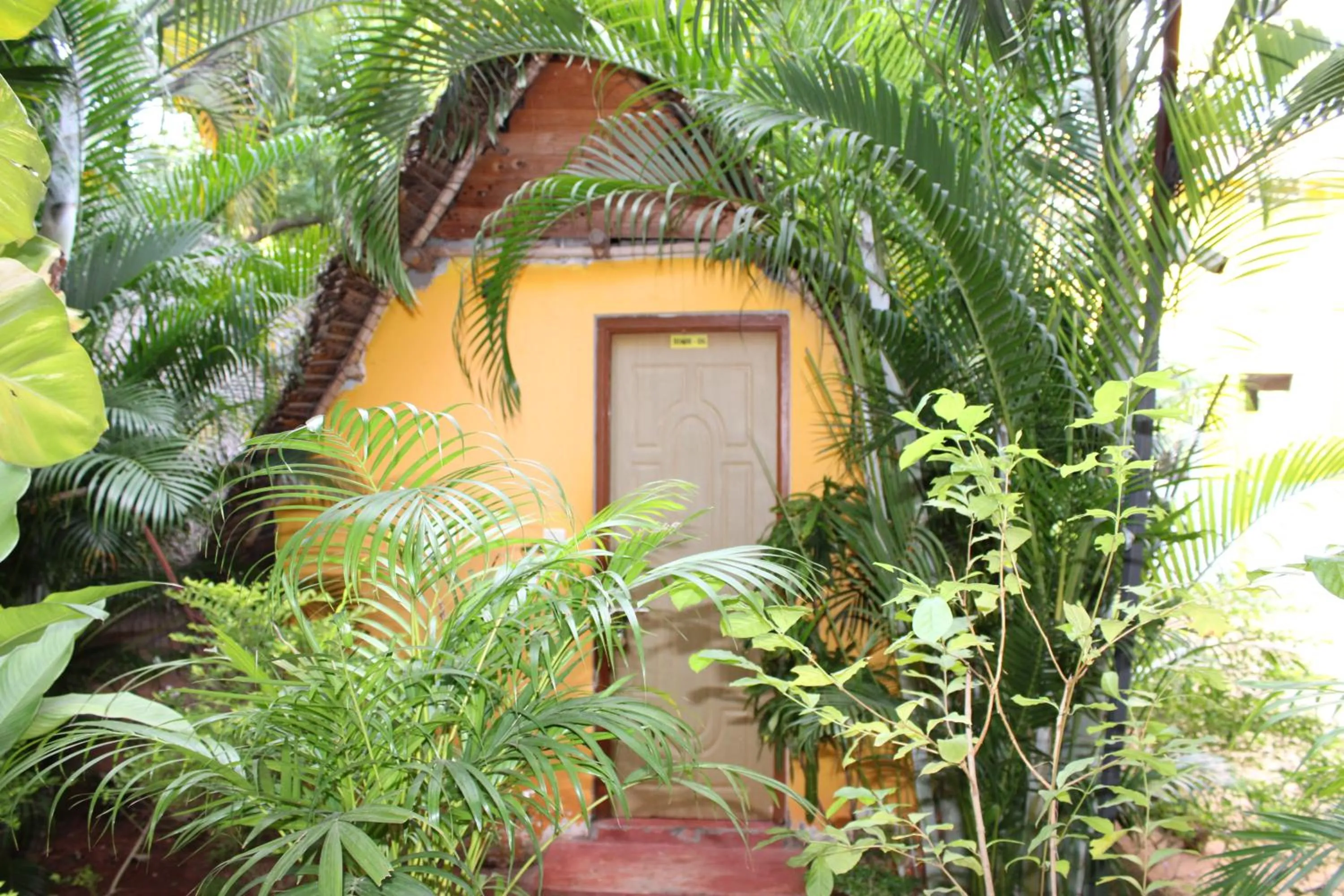 Property building in PV Resort - Auro Beach