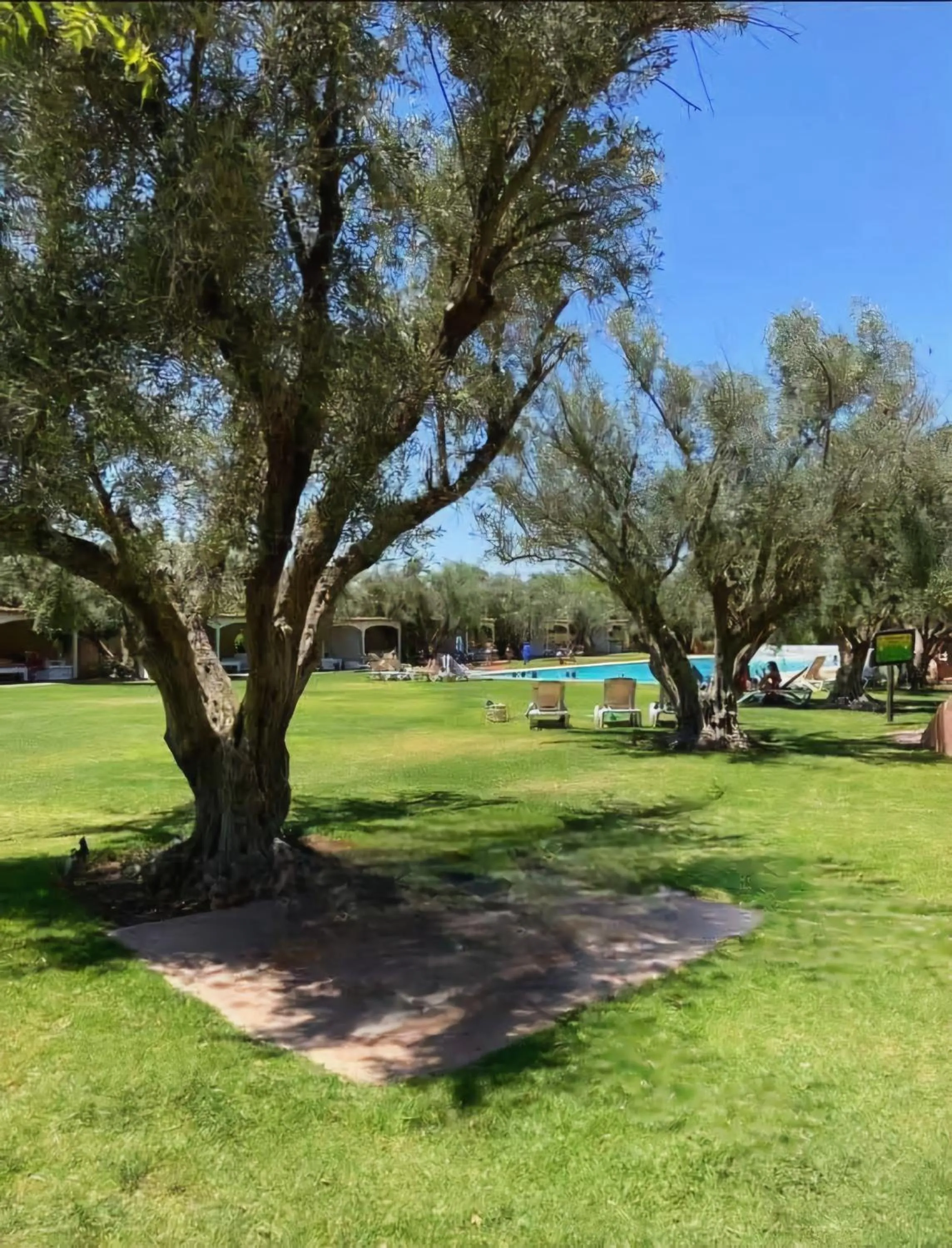 Garden in La Perle de l'Atlas by Golf Resort