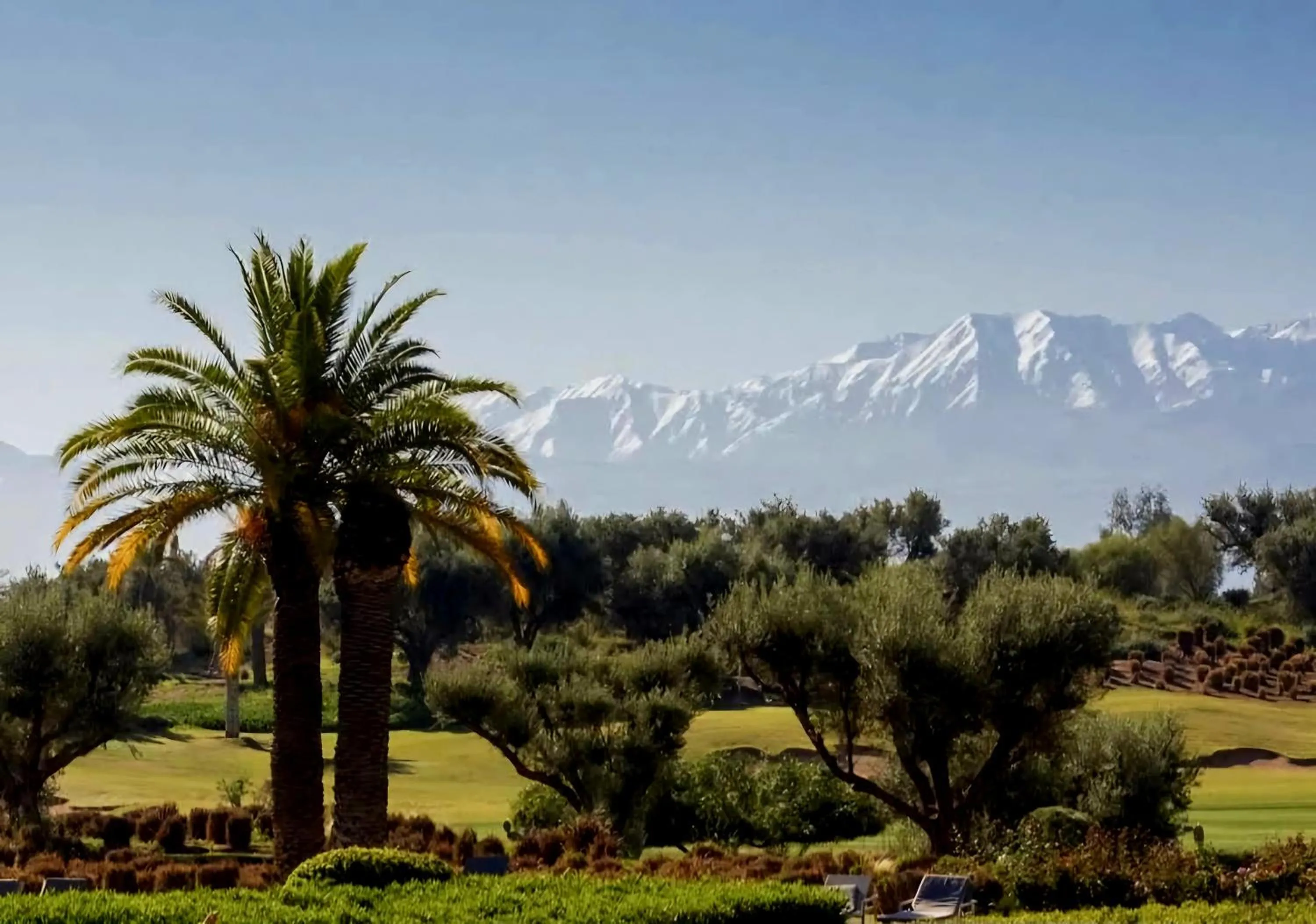 Garden in La Perle de l'Atlas by Golf Resort