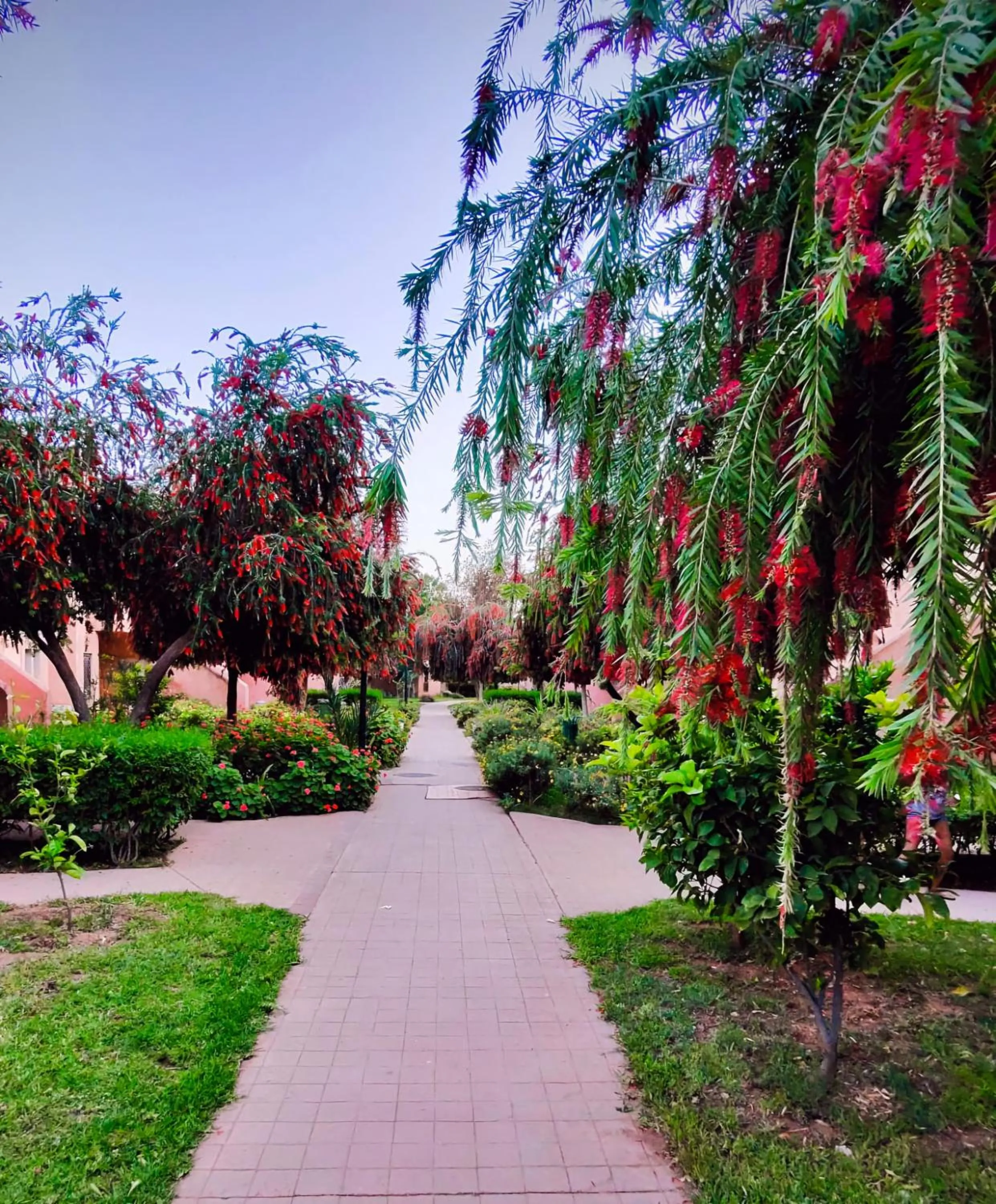 Natural landscape in La Perle de l'Atlas by Golf Resort