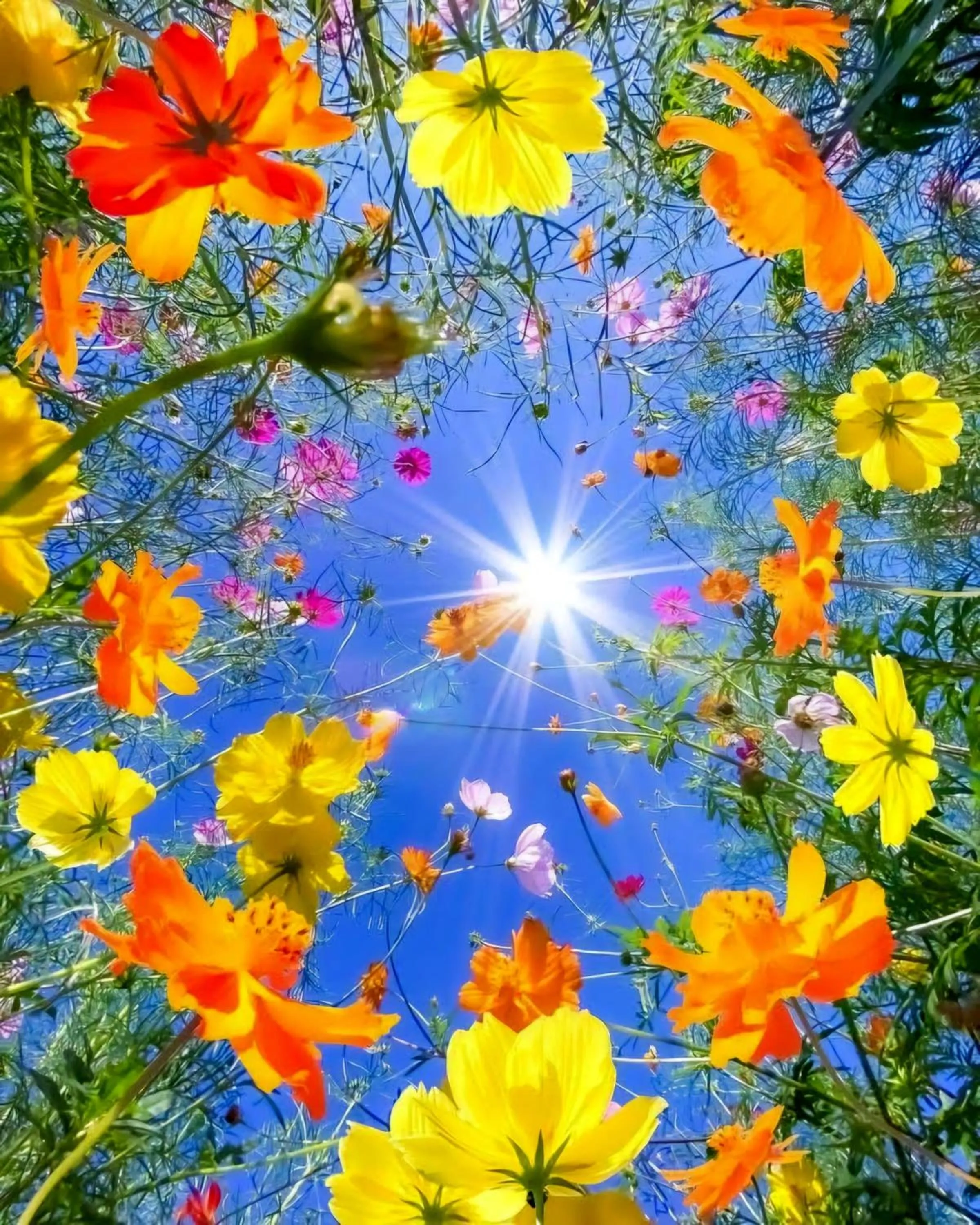 Spring in La Perle de l'Atlas by Golf Resort