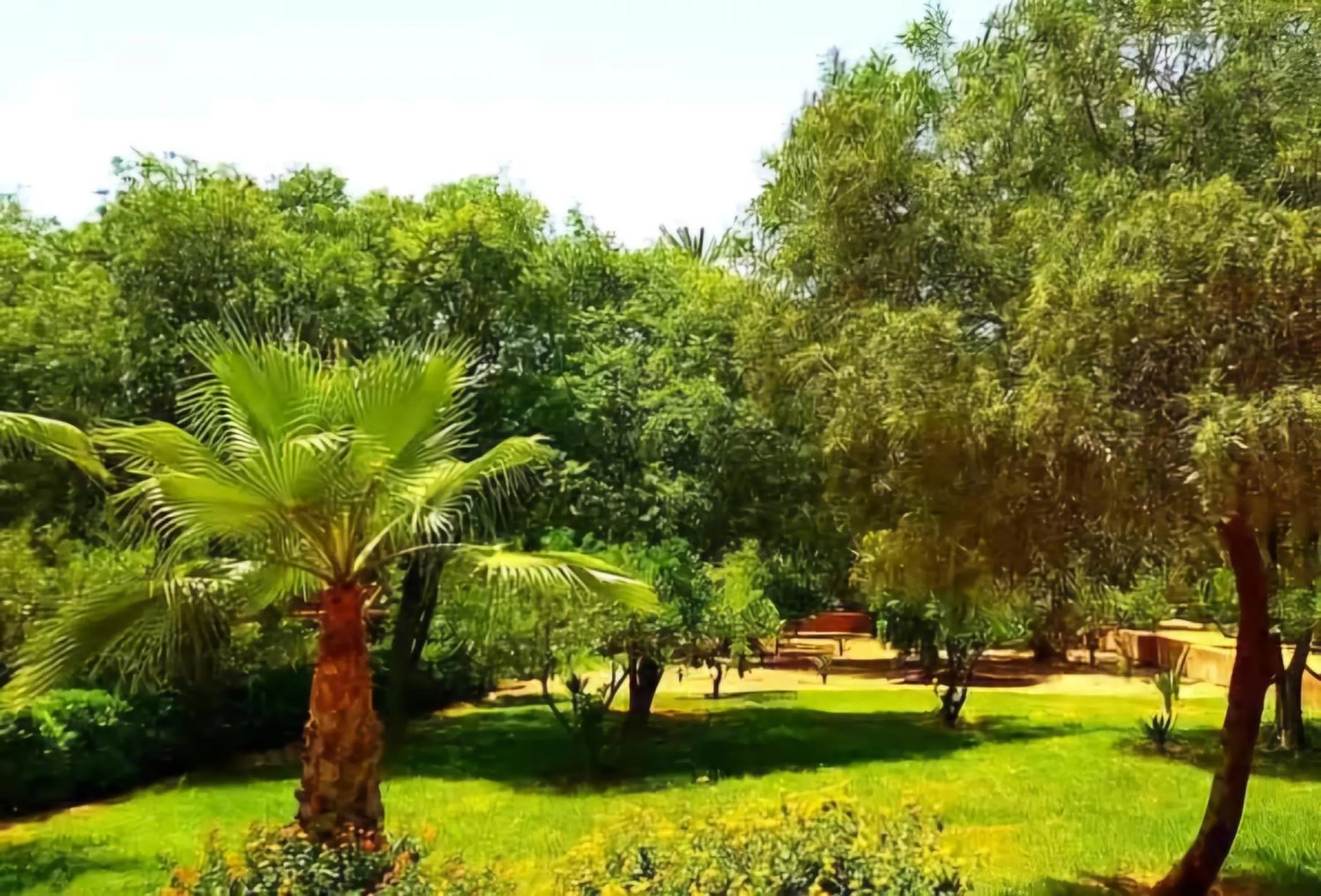 Garden in La Perle de l'Atlas by Golf Resort