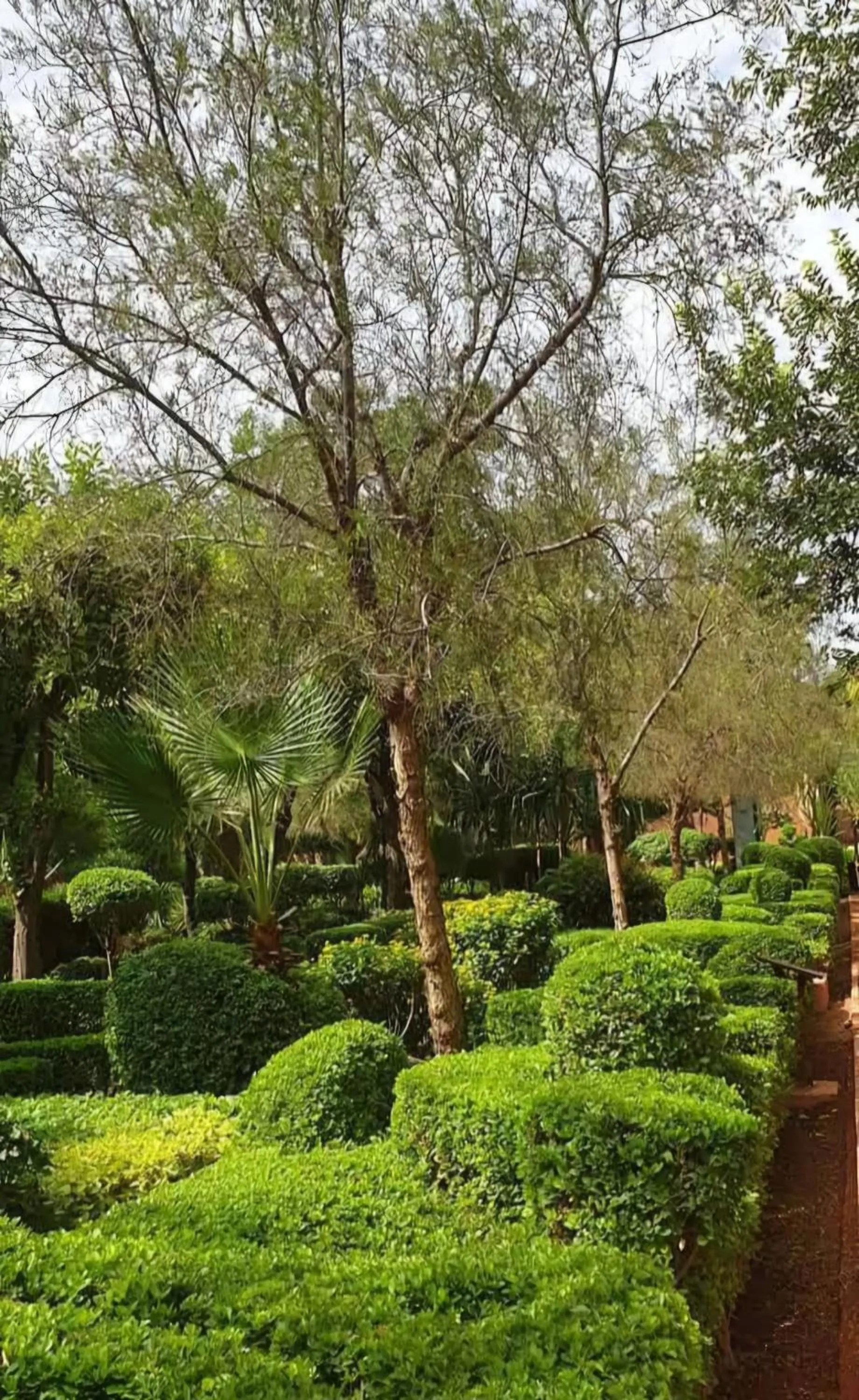 Garden in La Perle de l'Atlas by Golf Resort