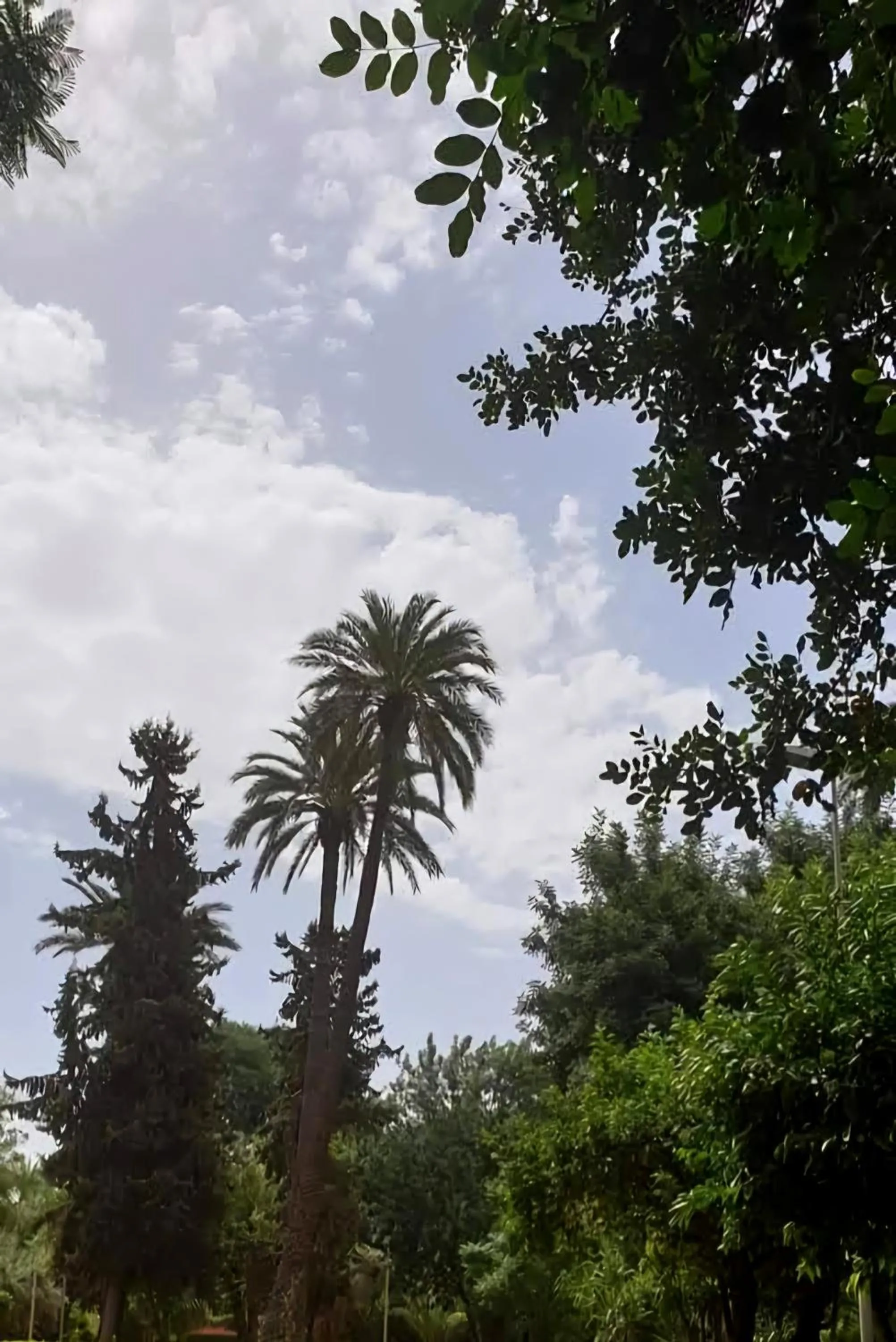 Garden in La Perle de l'Atlas by Golf Resort