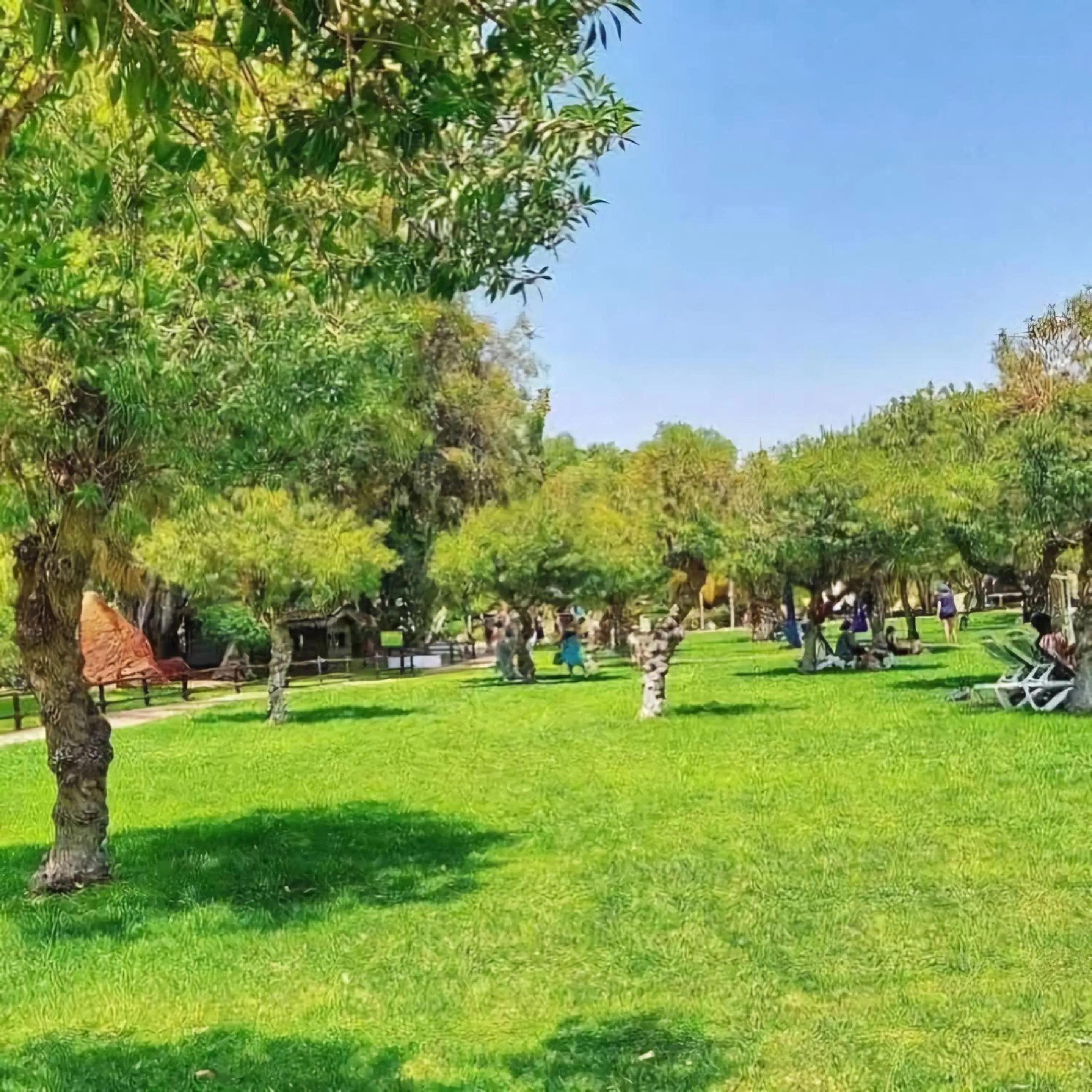 Garden in La Perle de l'Atlas by Golf Resort