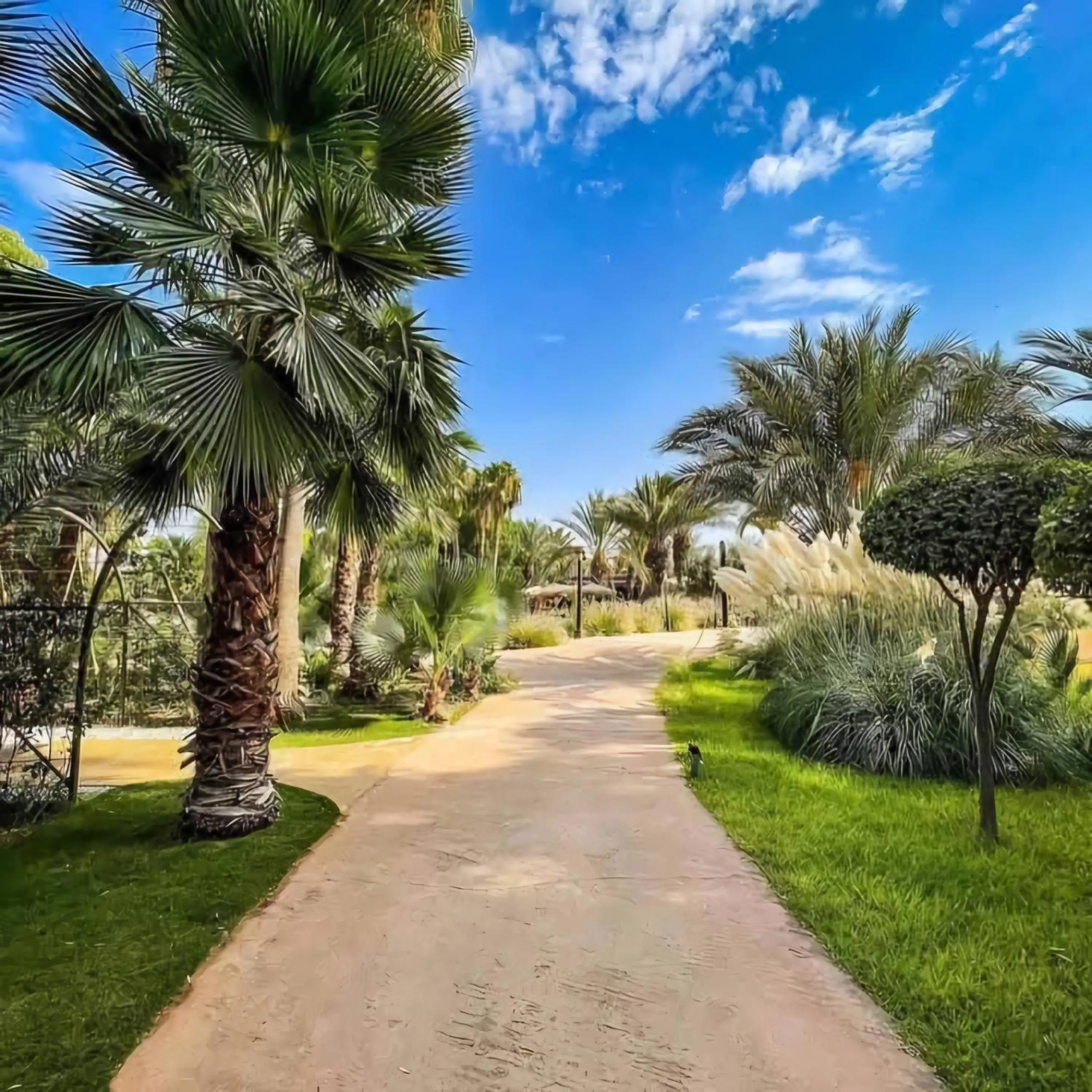 Garden in La Perle de l'Atlas by Golf Resort