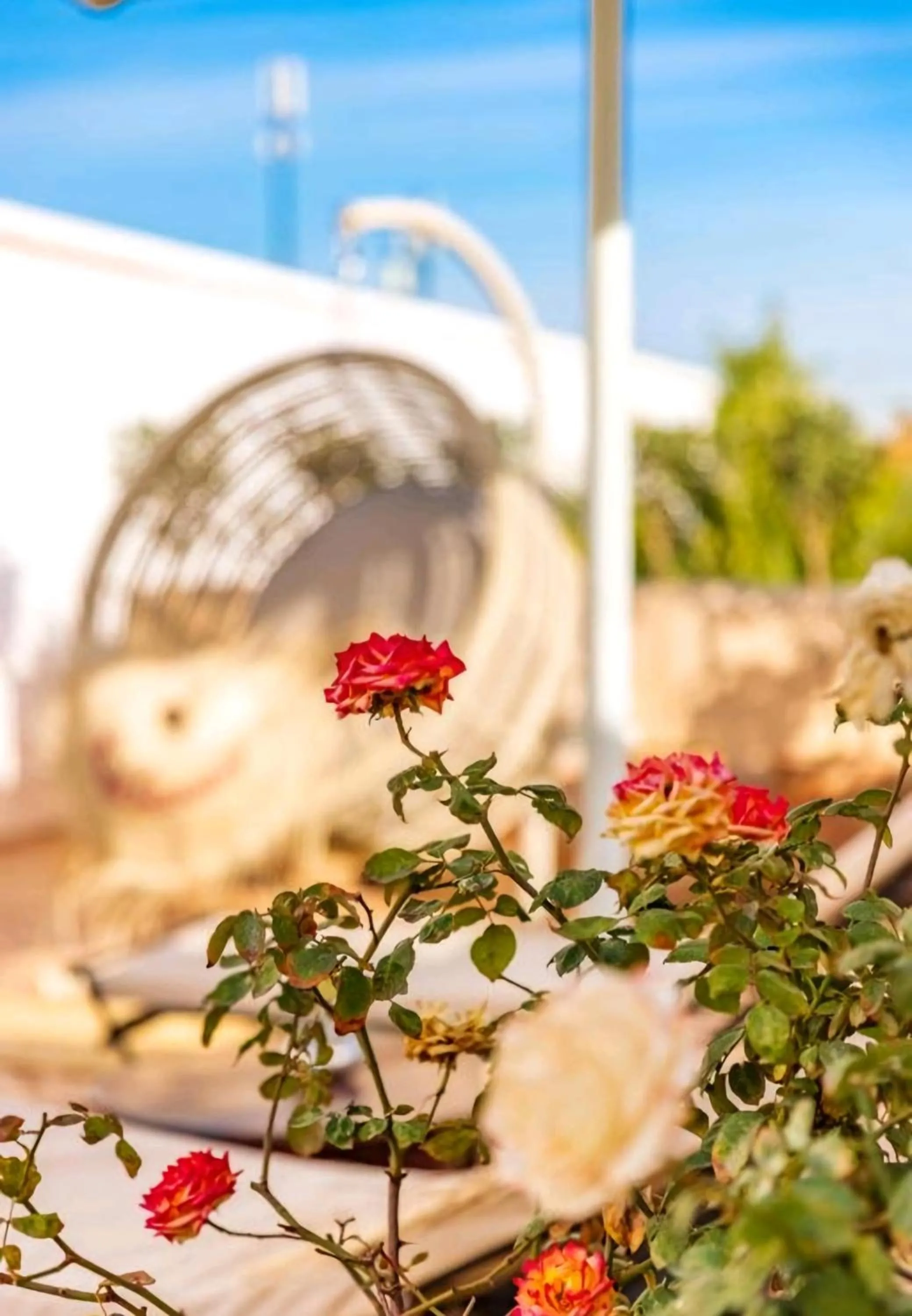 Spring in La Perle de l'Atlas by Golf Resort