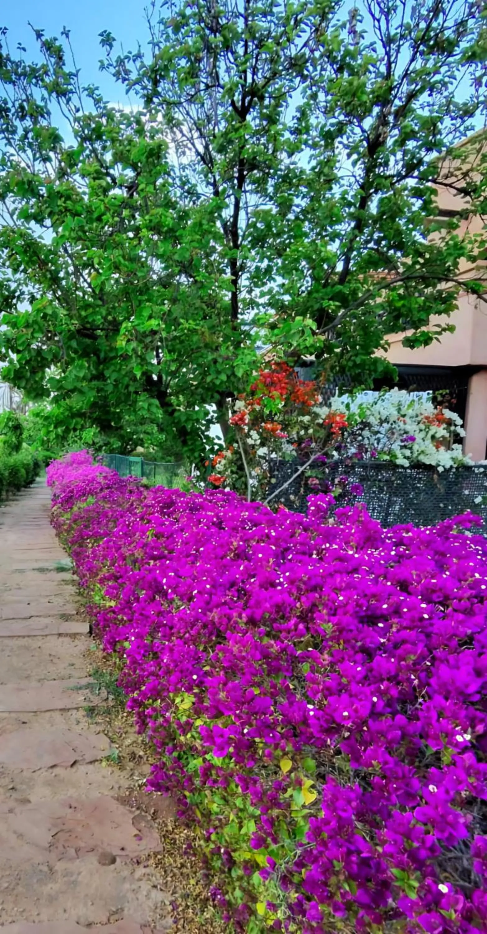 Garden in La Perle de l'Atlas by Golf Resort