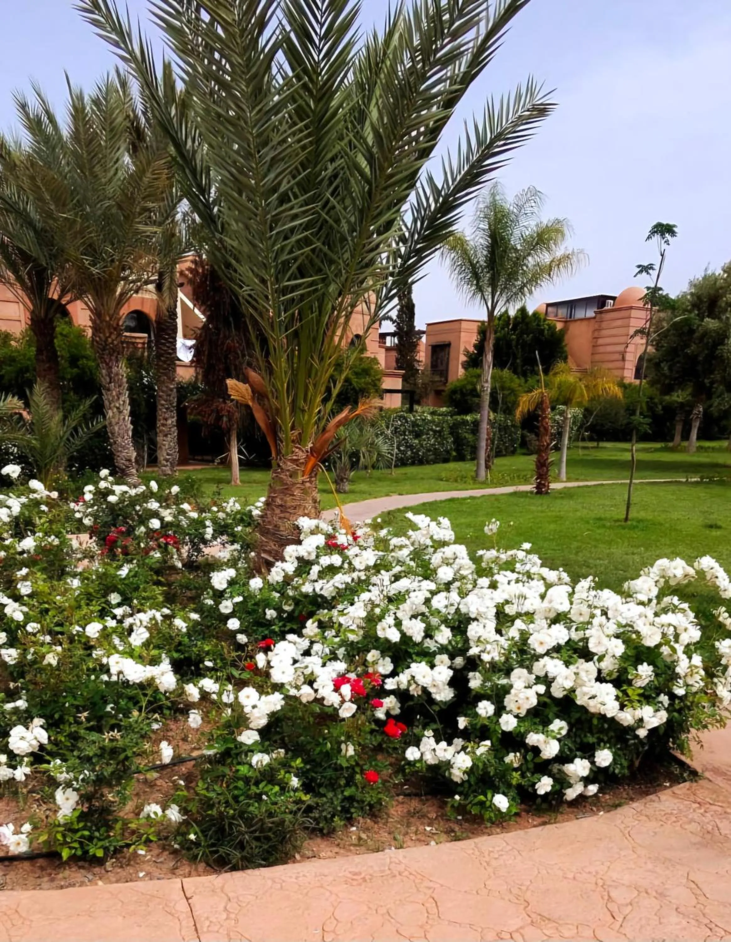 Garden in La Perle de l'Atlas by Golf Resort