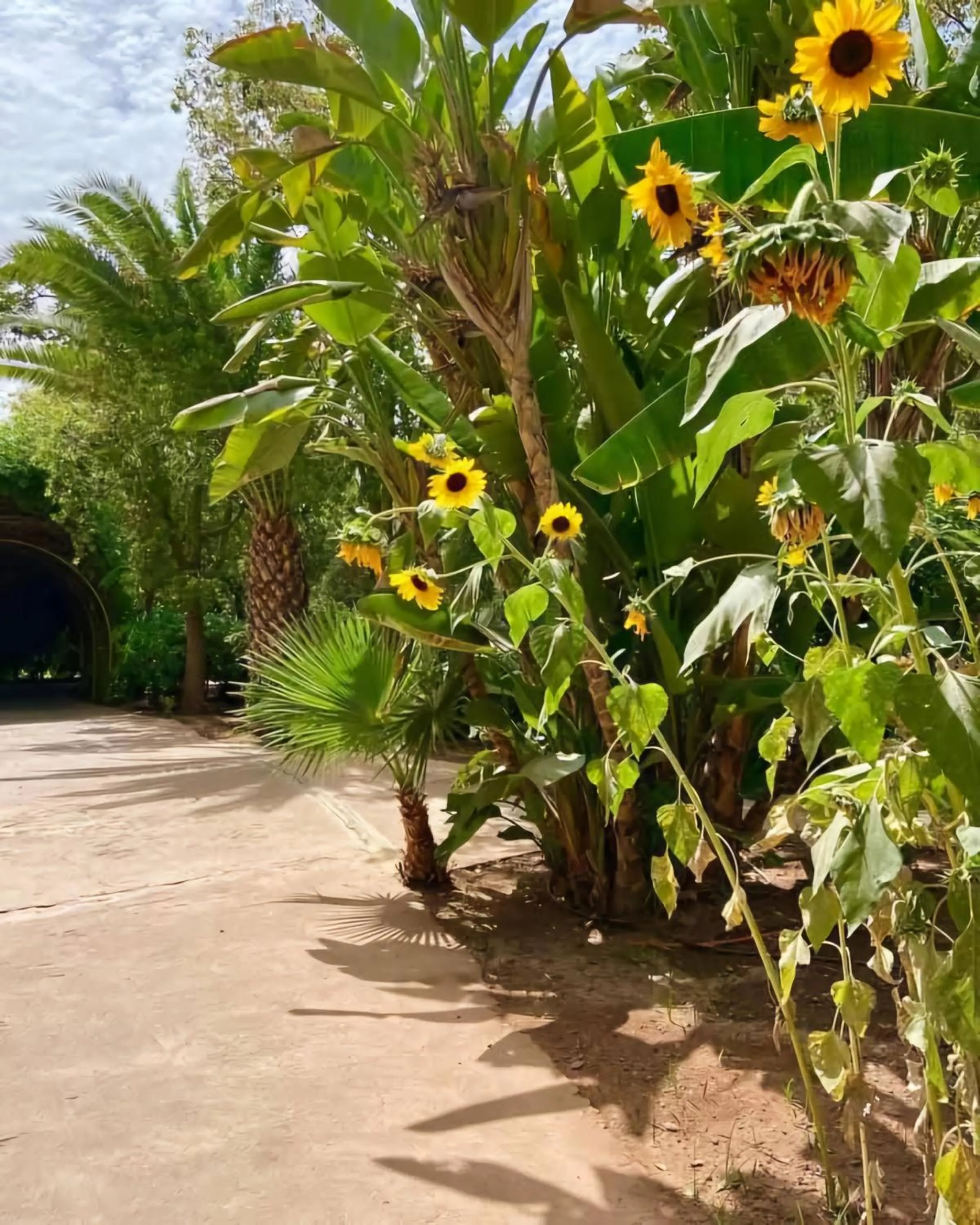Garden in La Perle de l'Atlas by Golf Resort