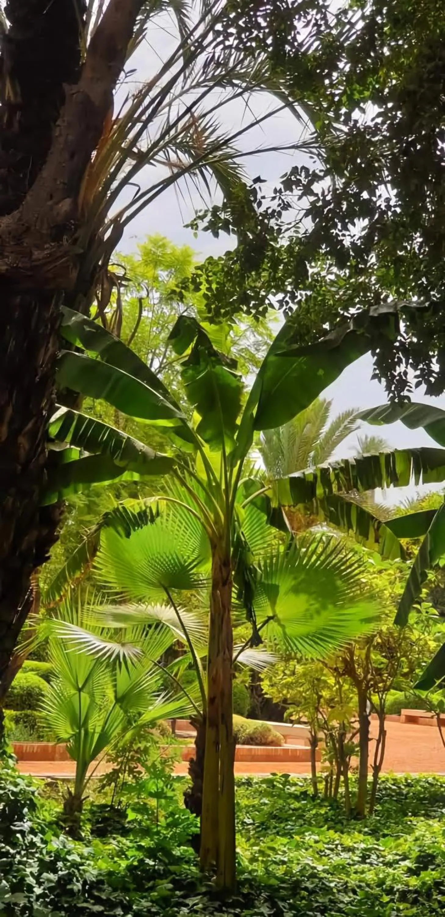 Garden in La Perle de l'Atlas by Golf Resort